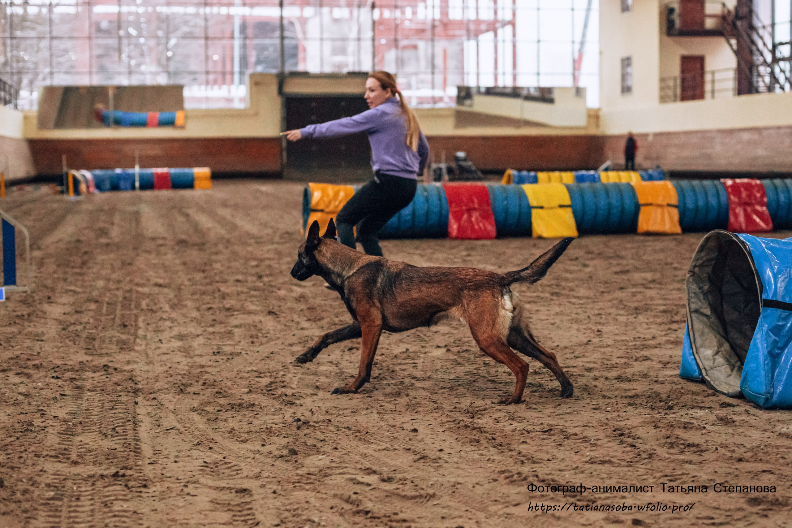 Соревнования по Аджилити 25.02.2024. Фотограф-анималист Татьяна Степанова