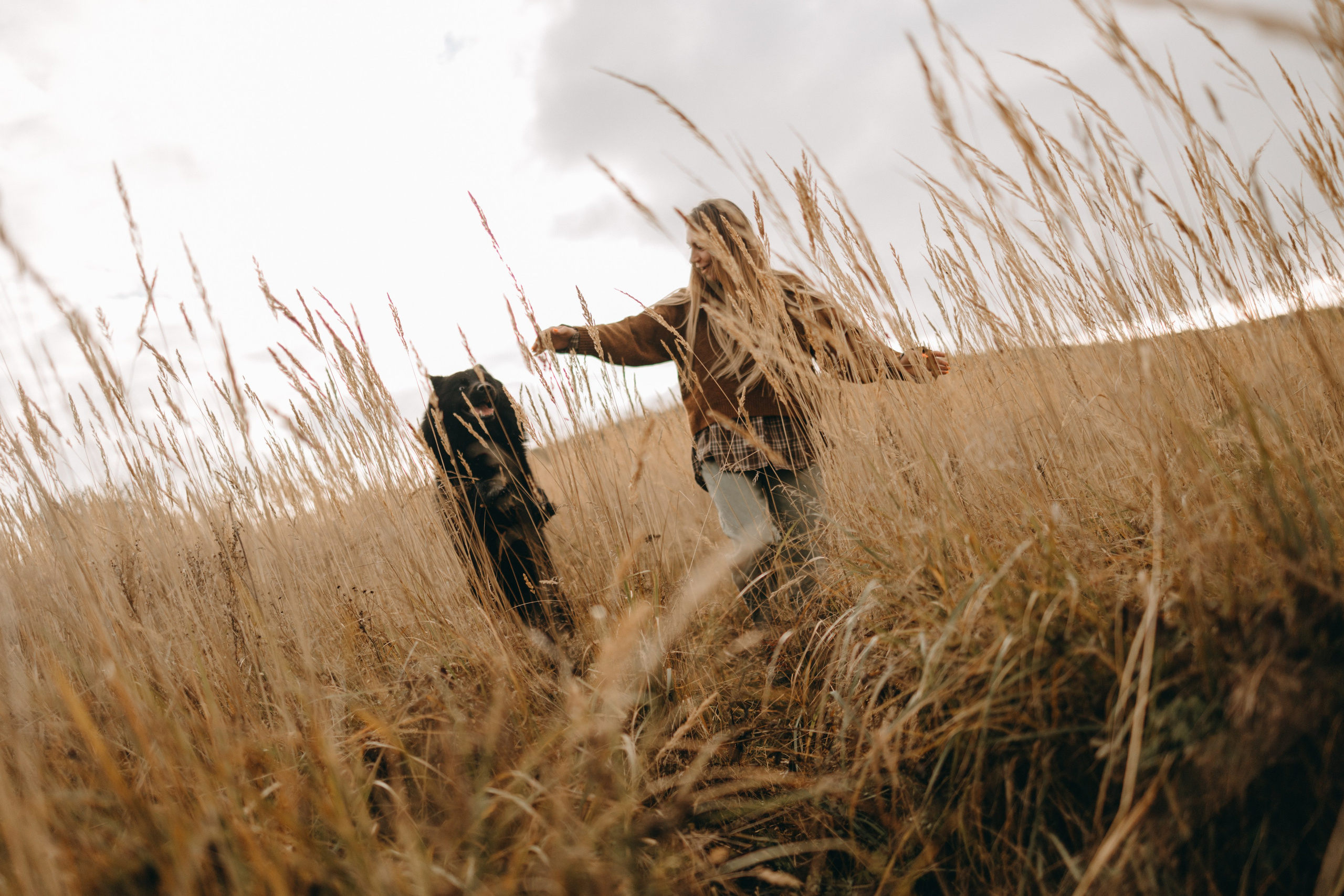 Лора и Джанго. Фотограф — Анималист | Санкт-Петербург