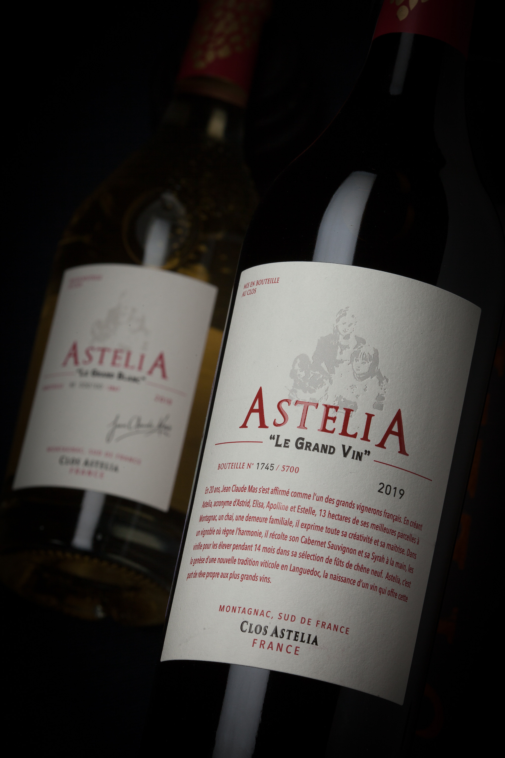 Wine. Фотограф в MICE Дмитрий Плисов