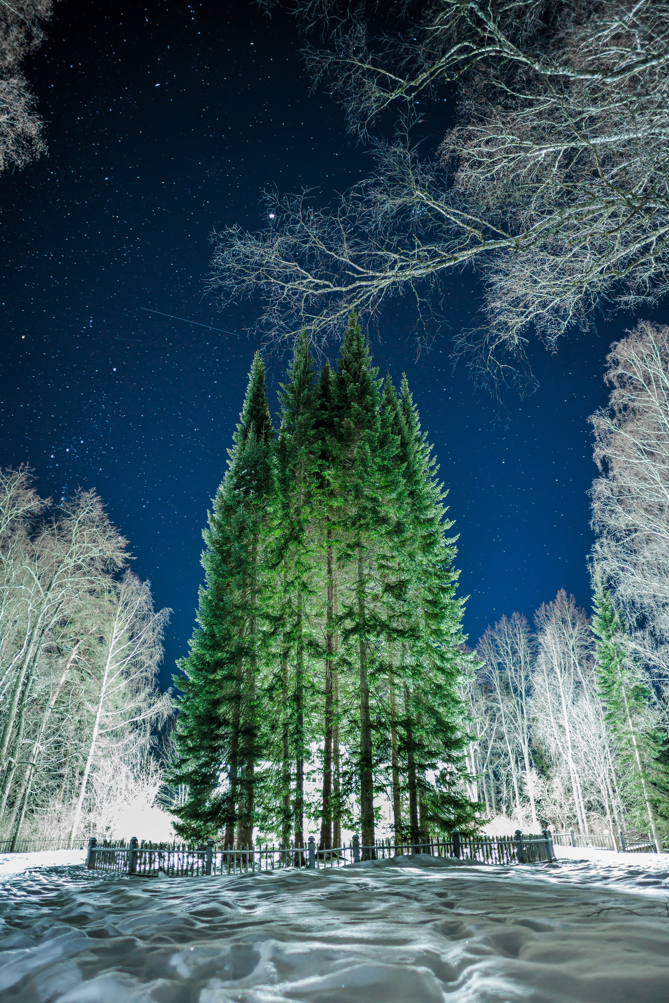 Деревенский пейзаж. Владимир Петухов — фотограф в г. Кинешма. Оператор FPV