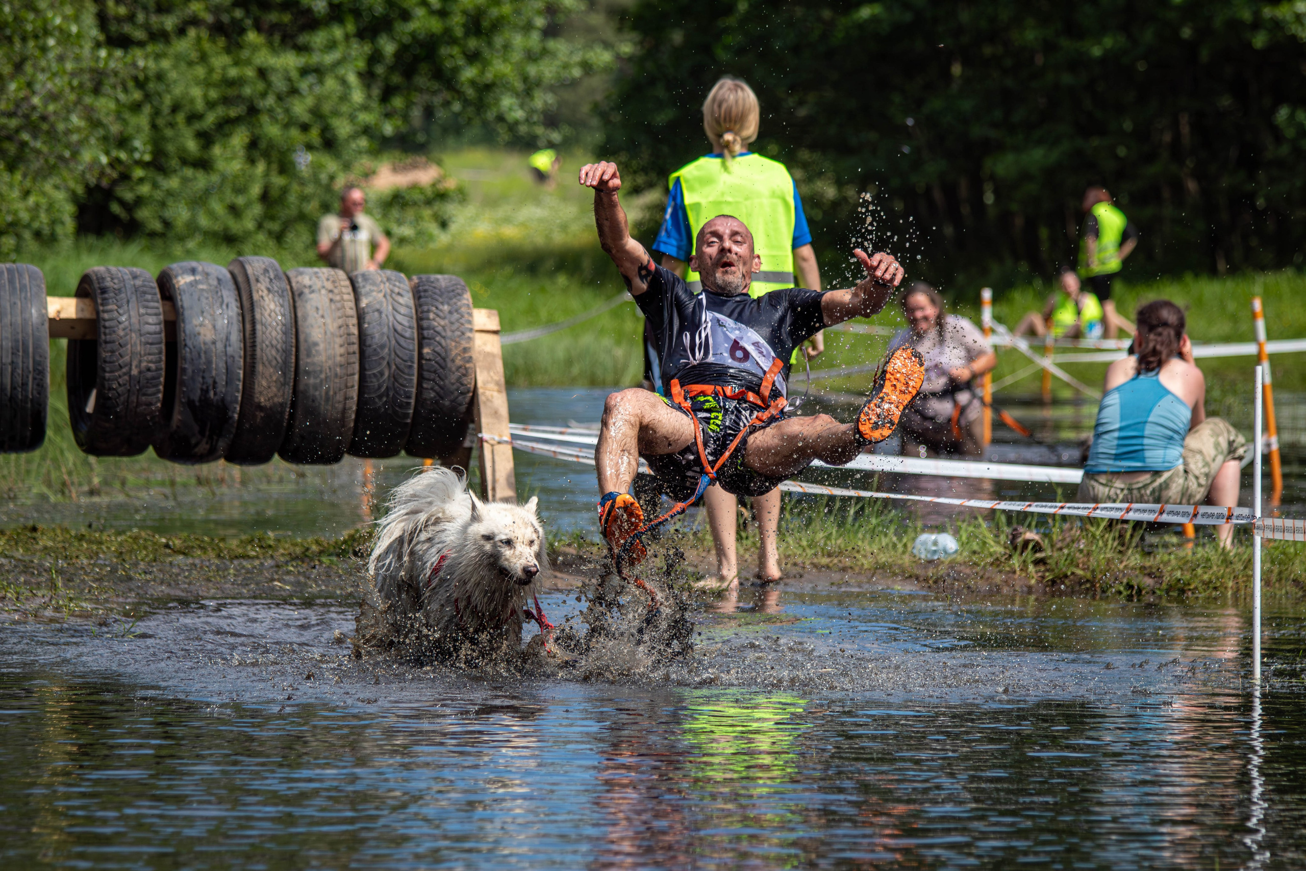 Хвостатый Драйв 2024. Фотограф анималист — Тула, Москва