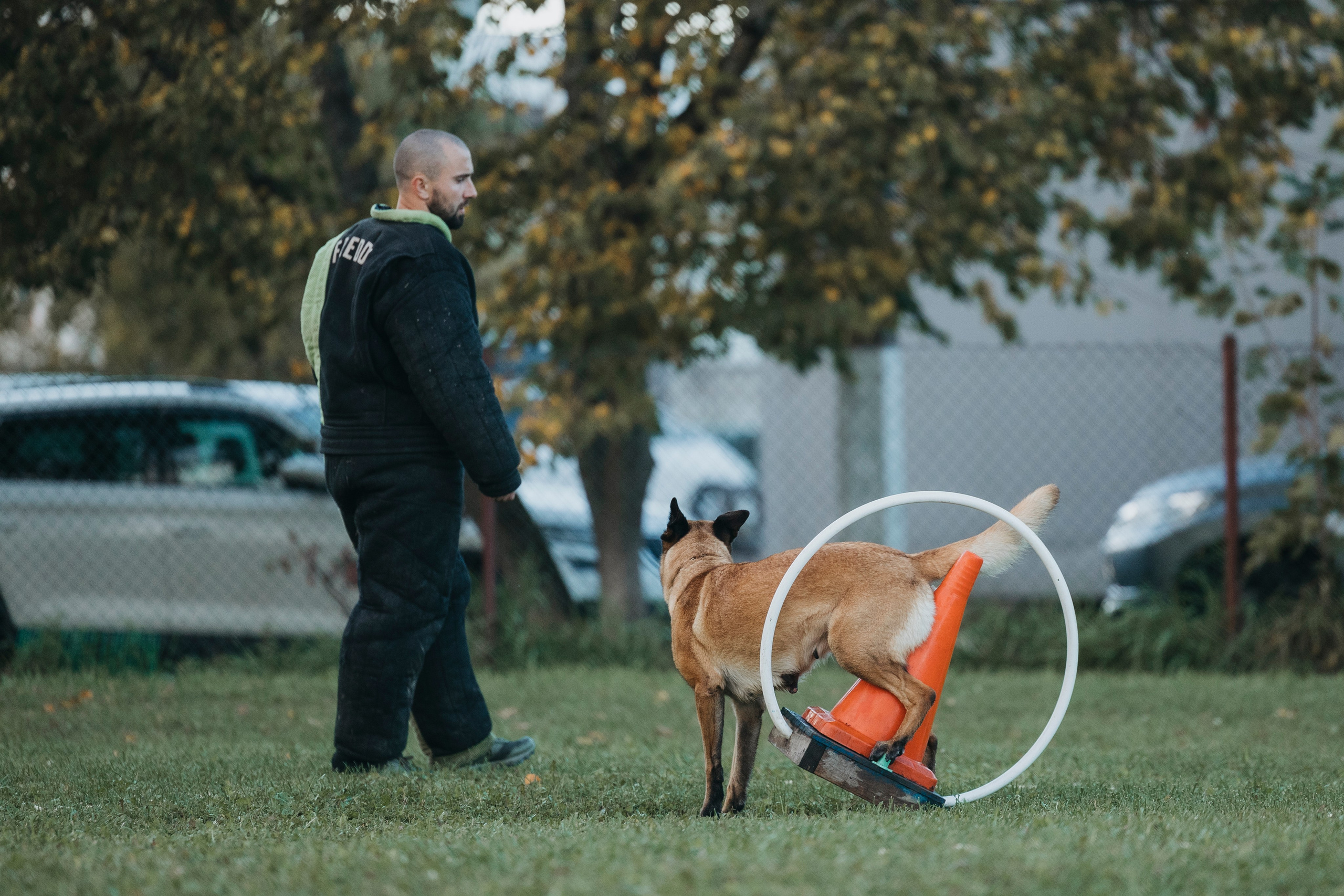 Испытания по мондьорингу г. Пушкин 29.09.2024. Фотограф-анималист Анна Маринич