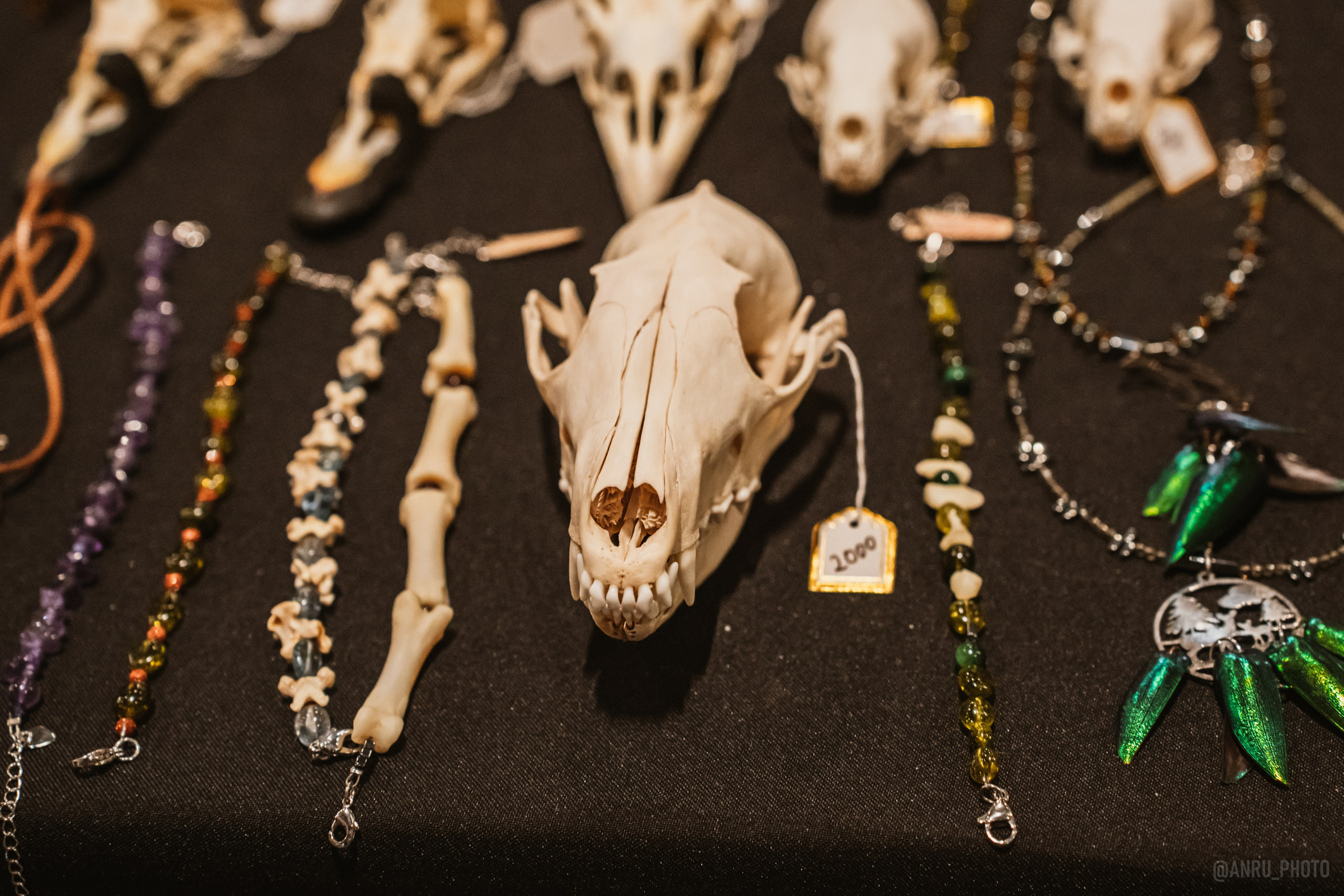 Рептилиум (ручная работа). Репортажный фотограф Анастасия Рубцова