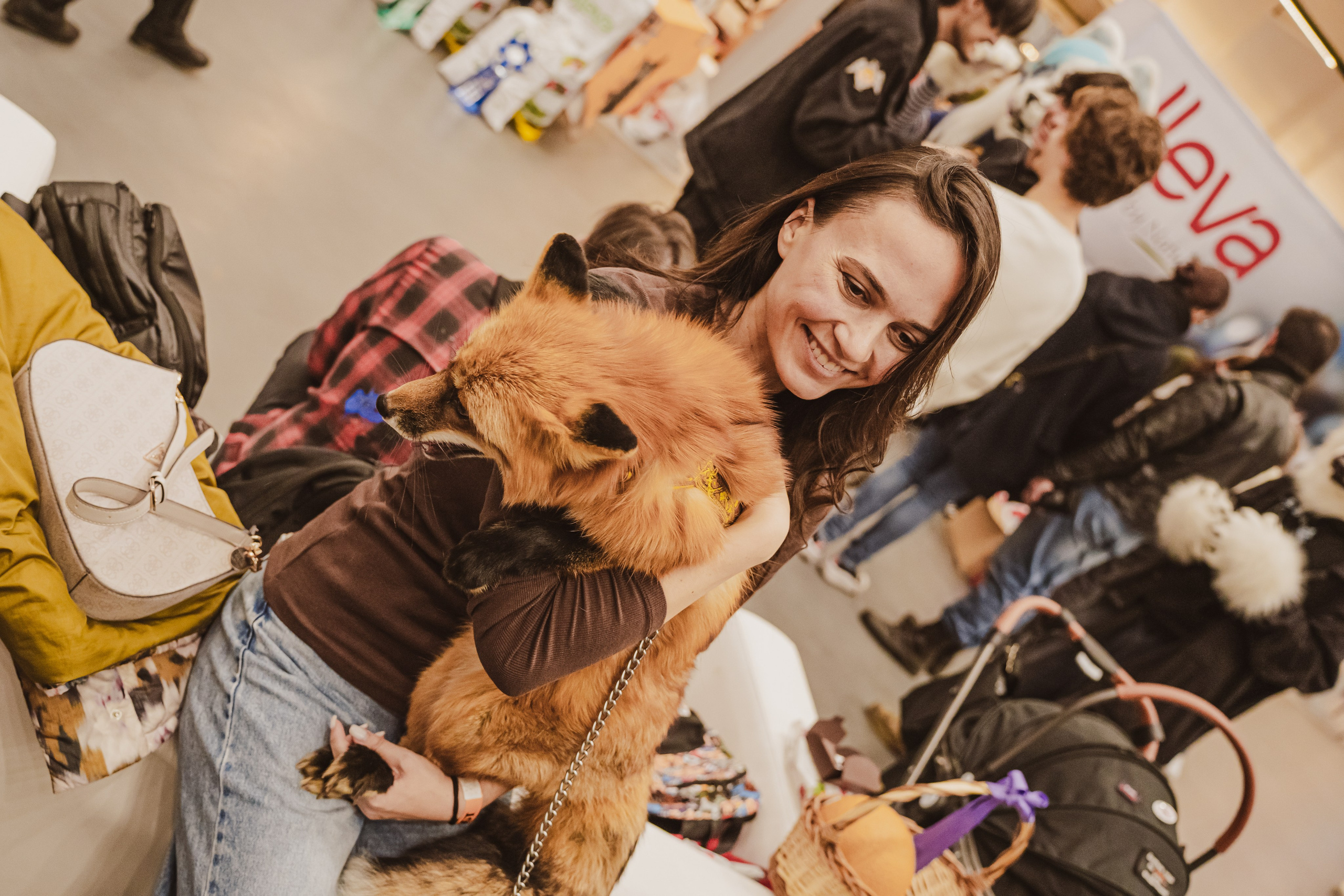 Fox Family fest. Репортажный фотограф Анастасия Рубцова