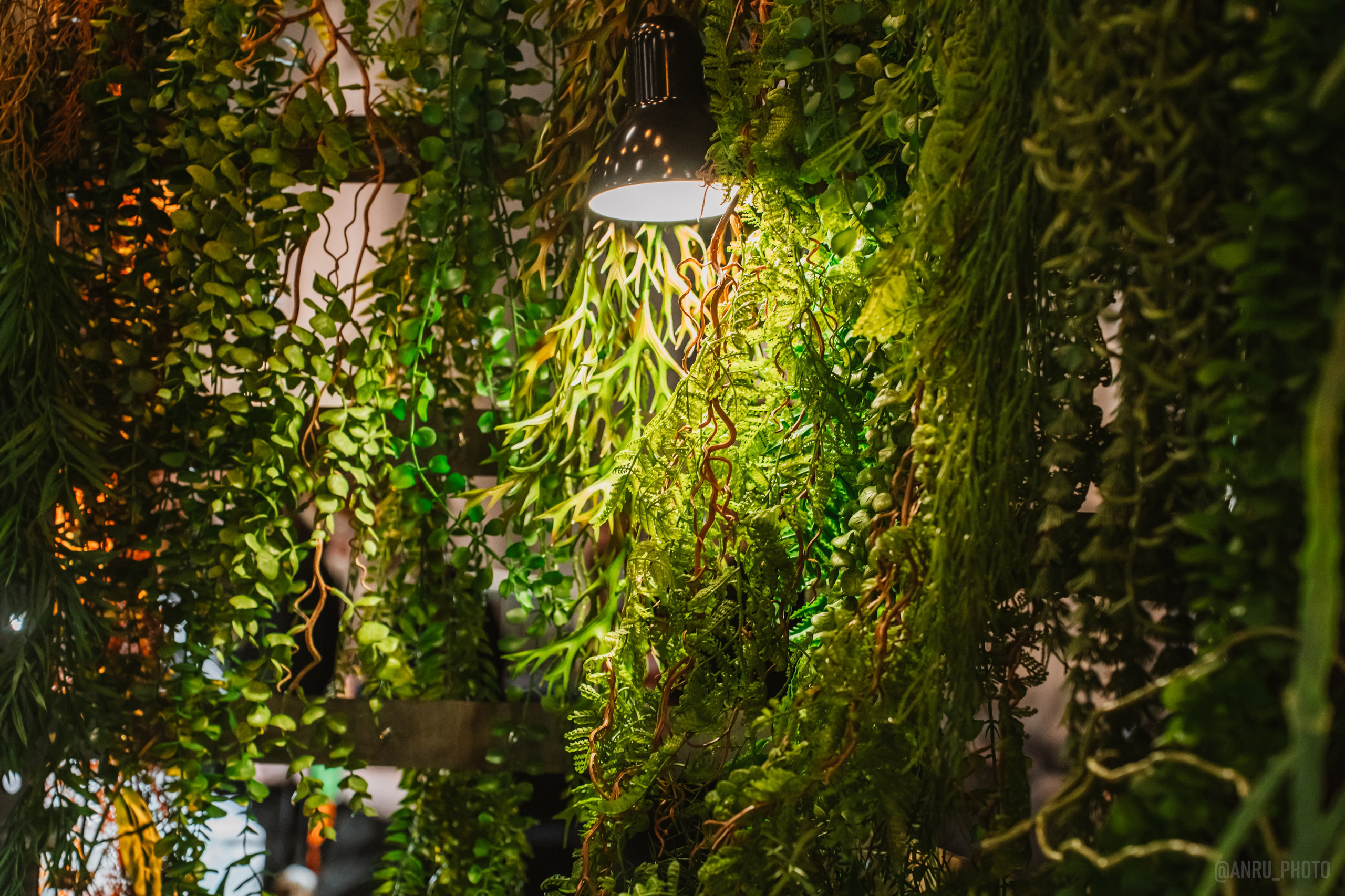 Рептилиум. Репортажный фотограф Анастасия Рубцова