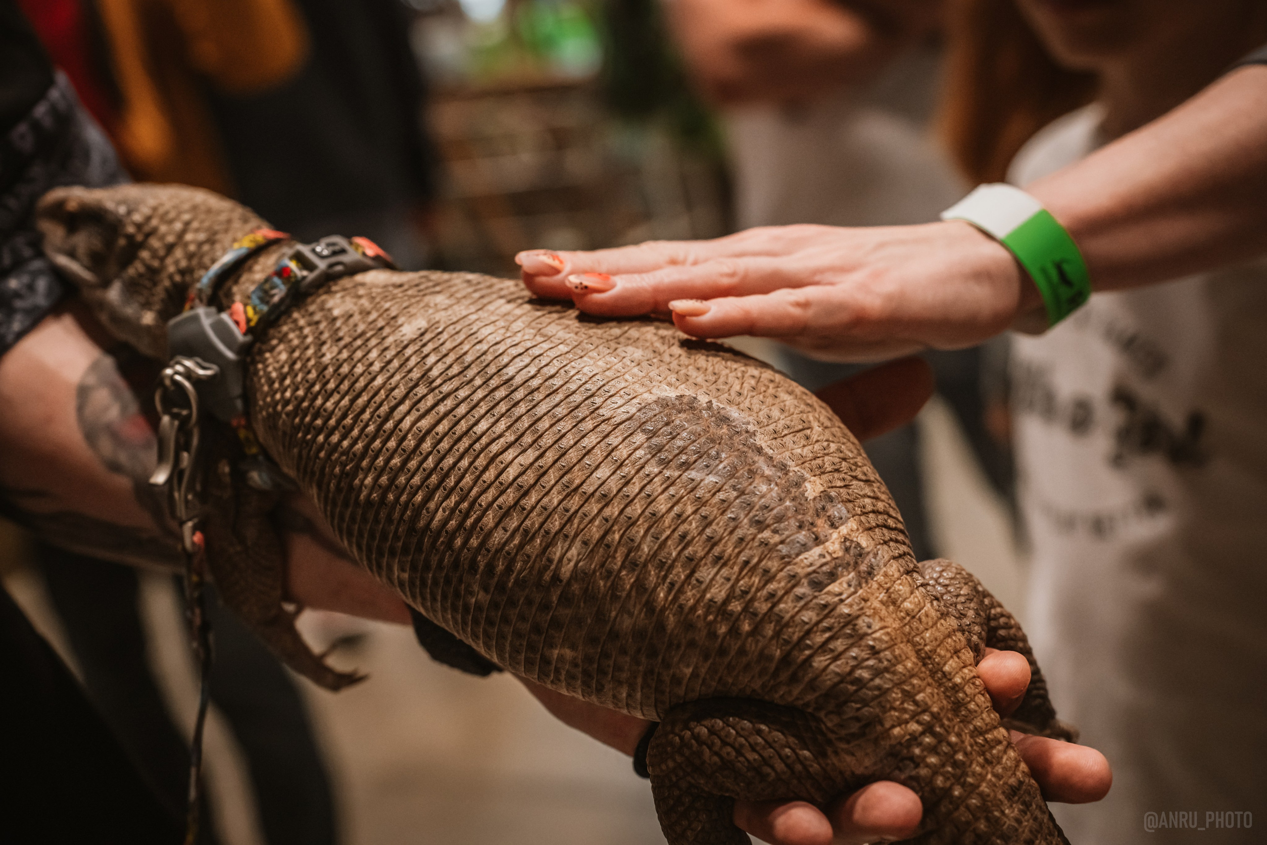 Рептилиум. Репортажный фотограф Анастасия Рубцова