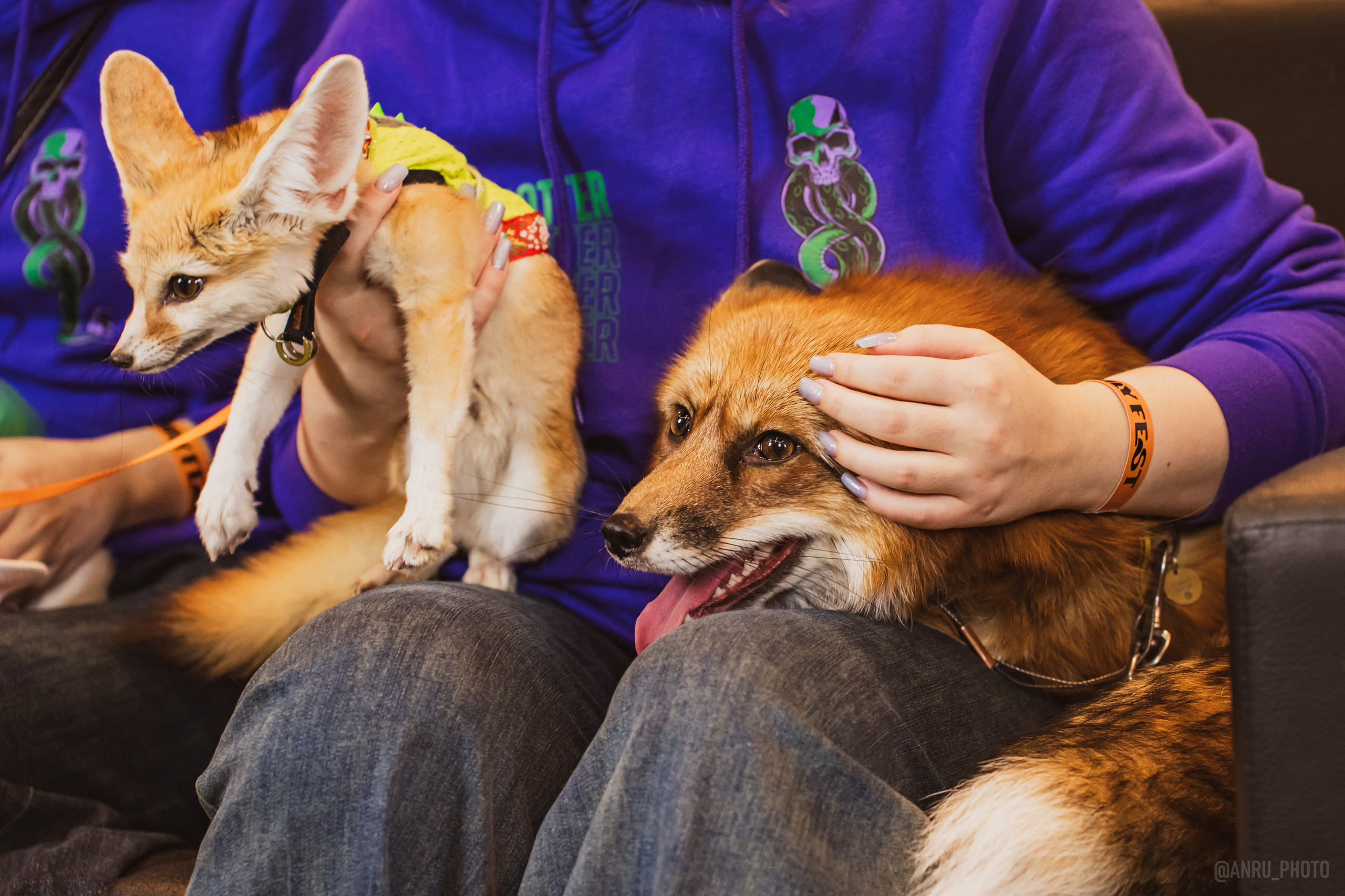 Fox Family fest. Репортажный фотограф Анастасия Рубцова