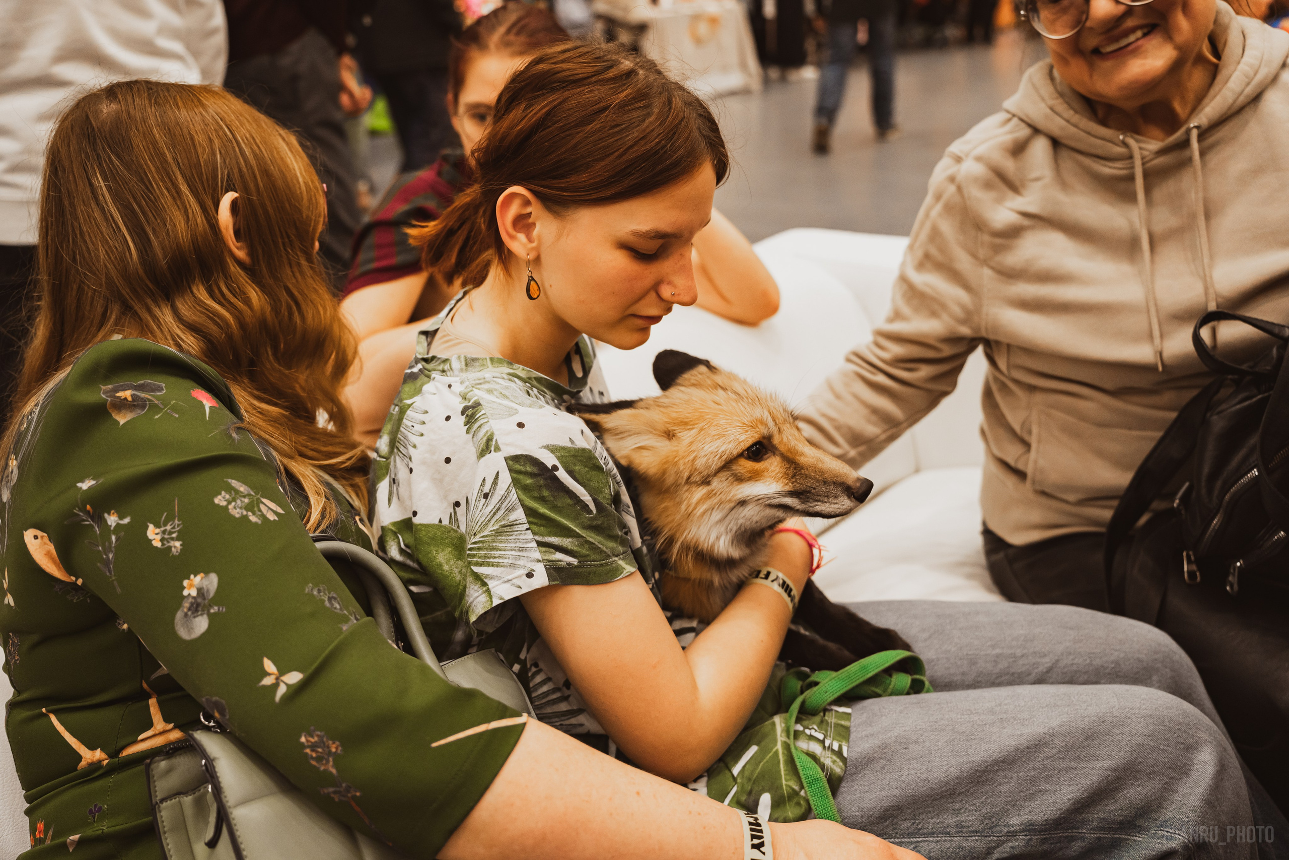 Fox Family fest. Репортажный фотограф Анастасия Рубцова