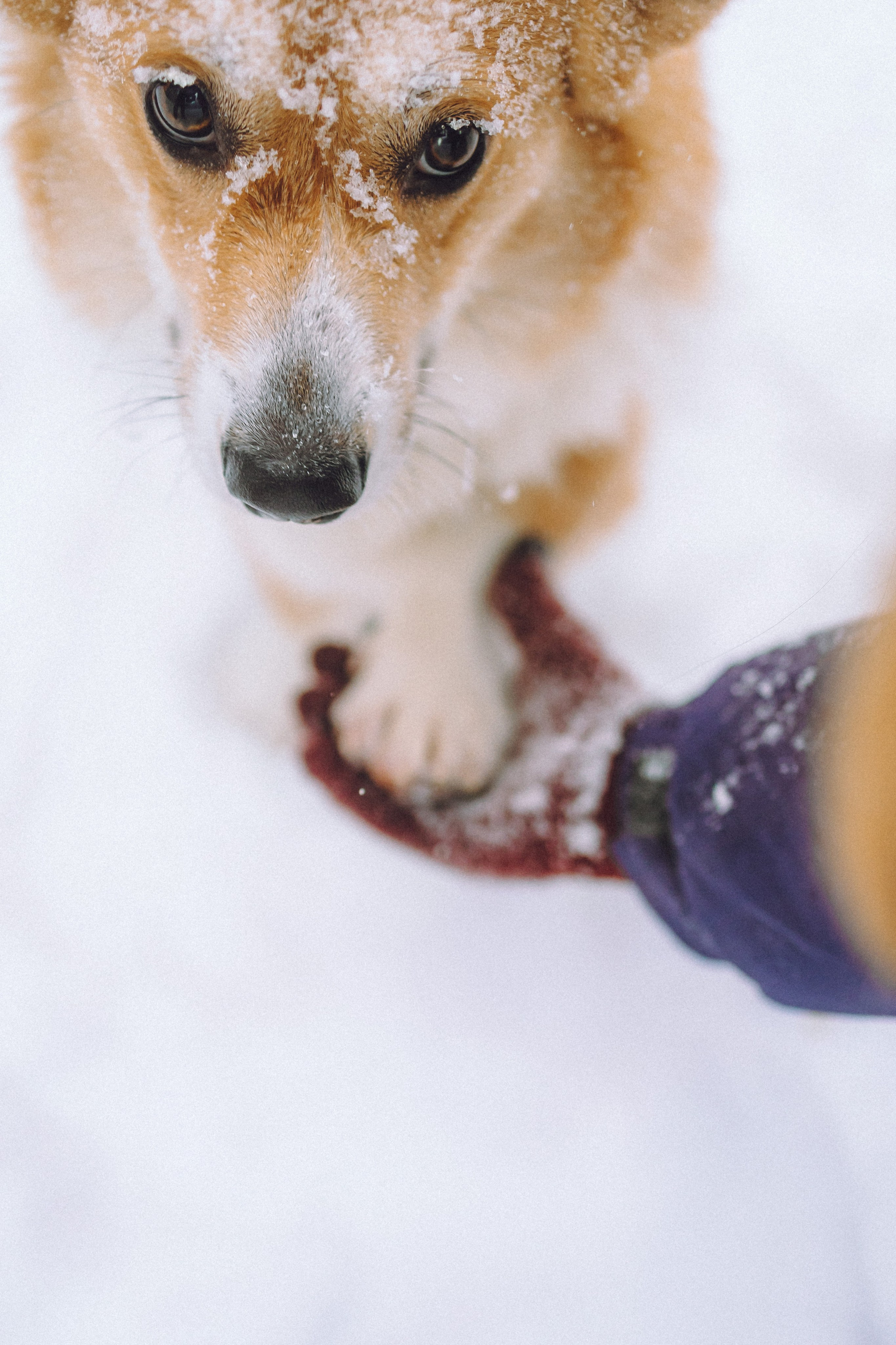 Юля и Юпитер