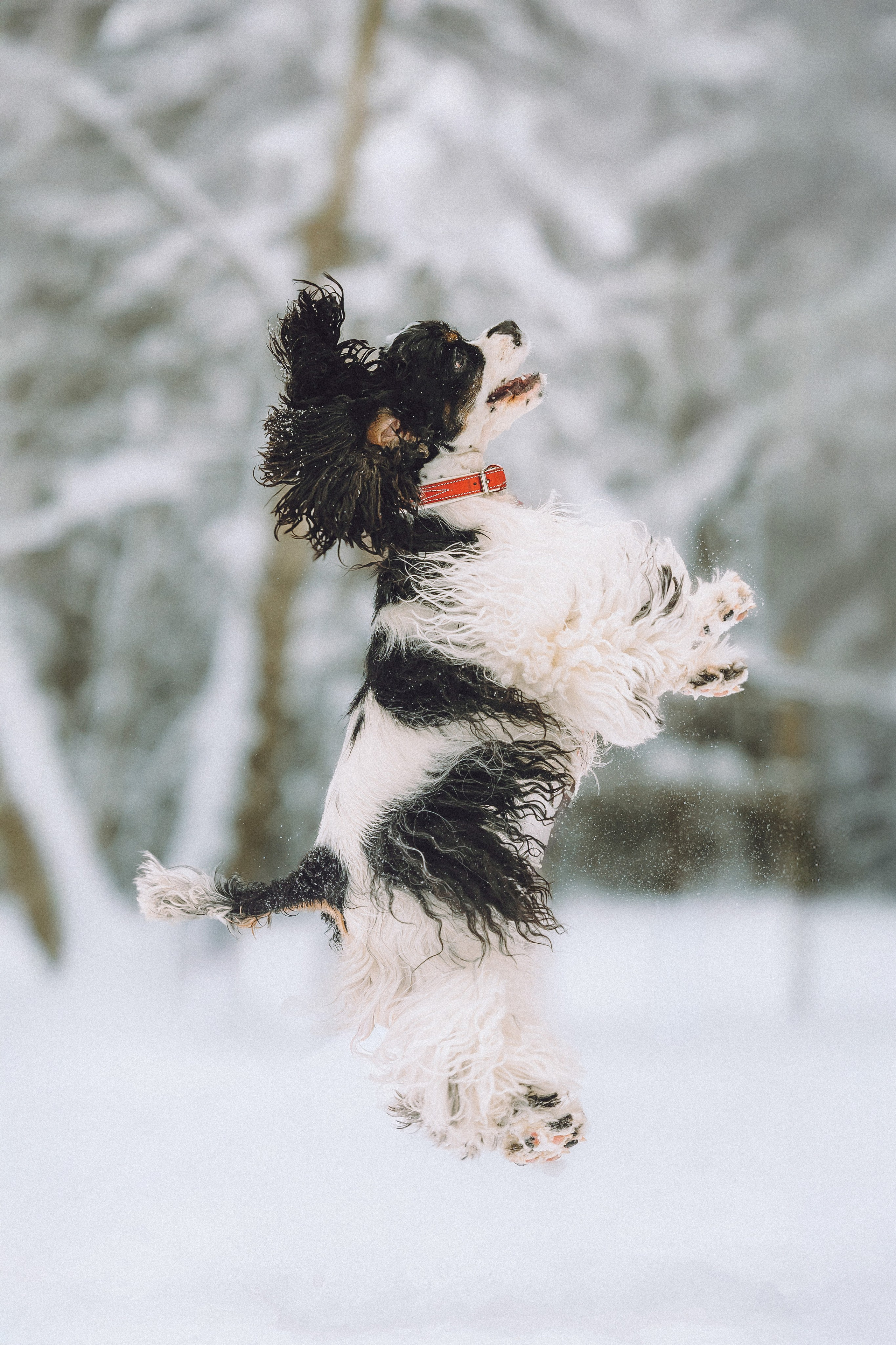Ольга и Патрик