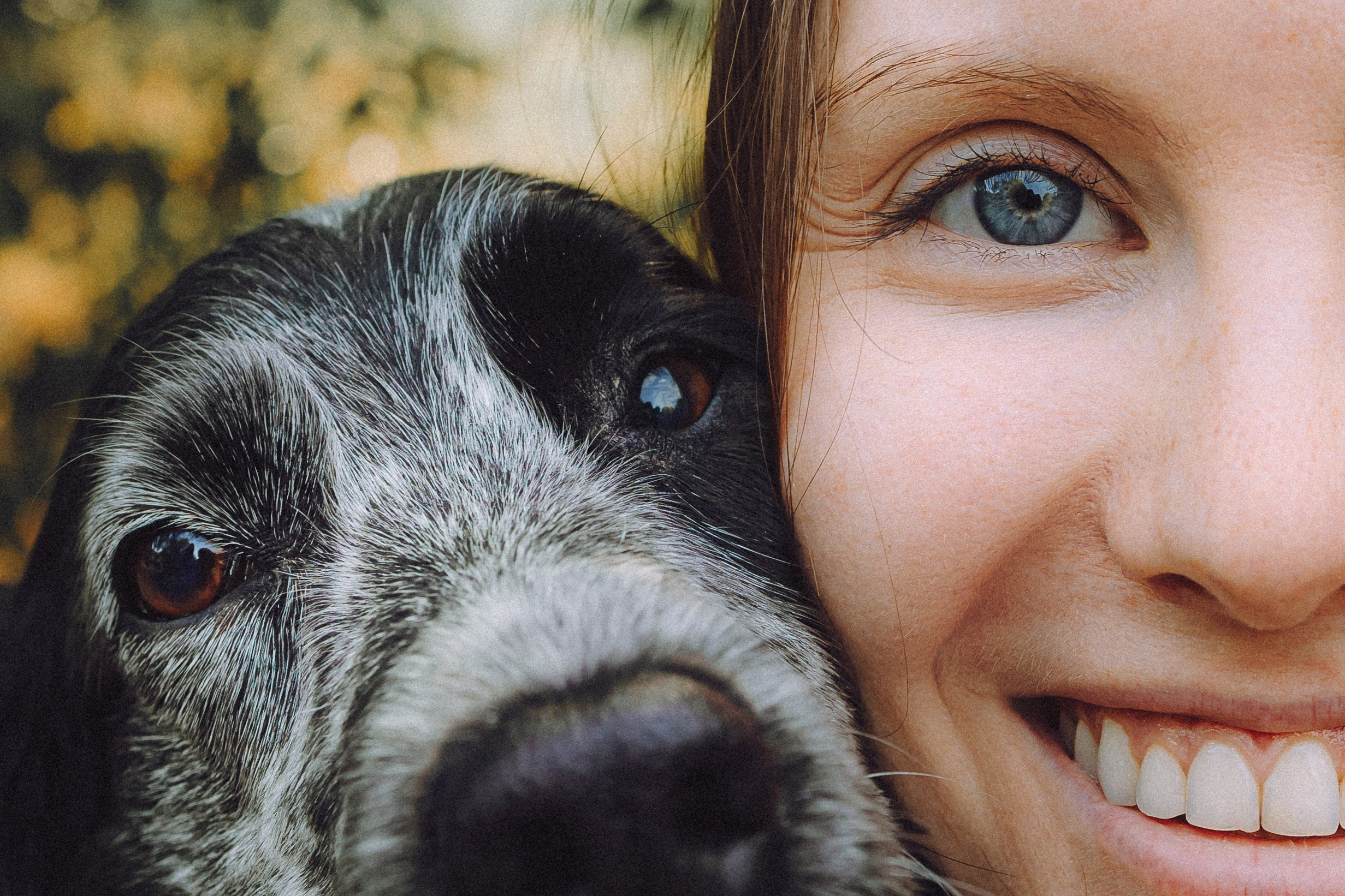 Маша и Ларри