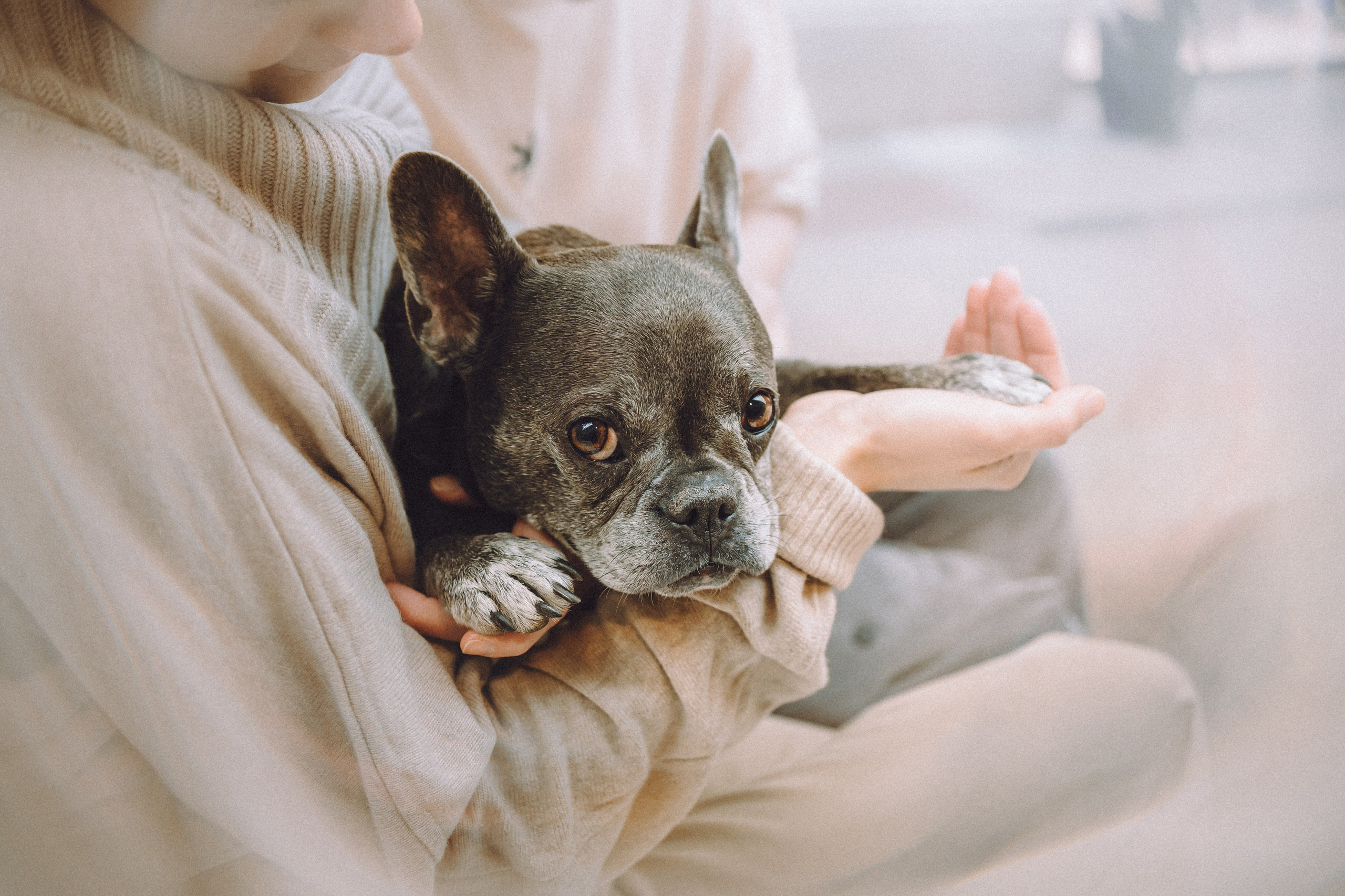 Юля, Вова и Моня