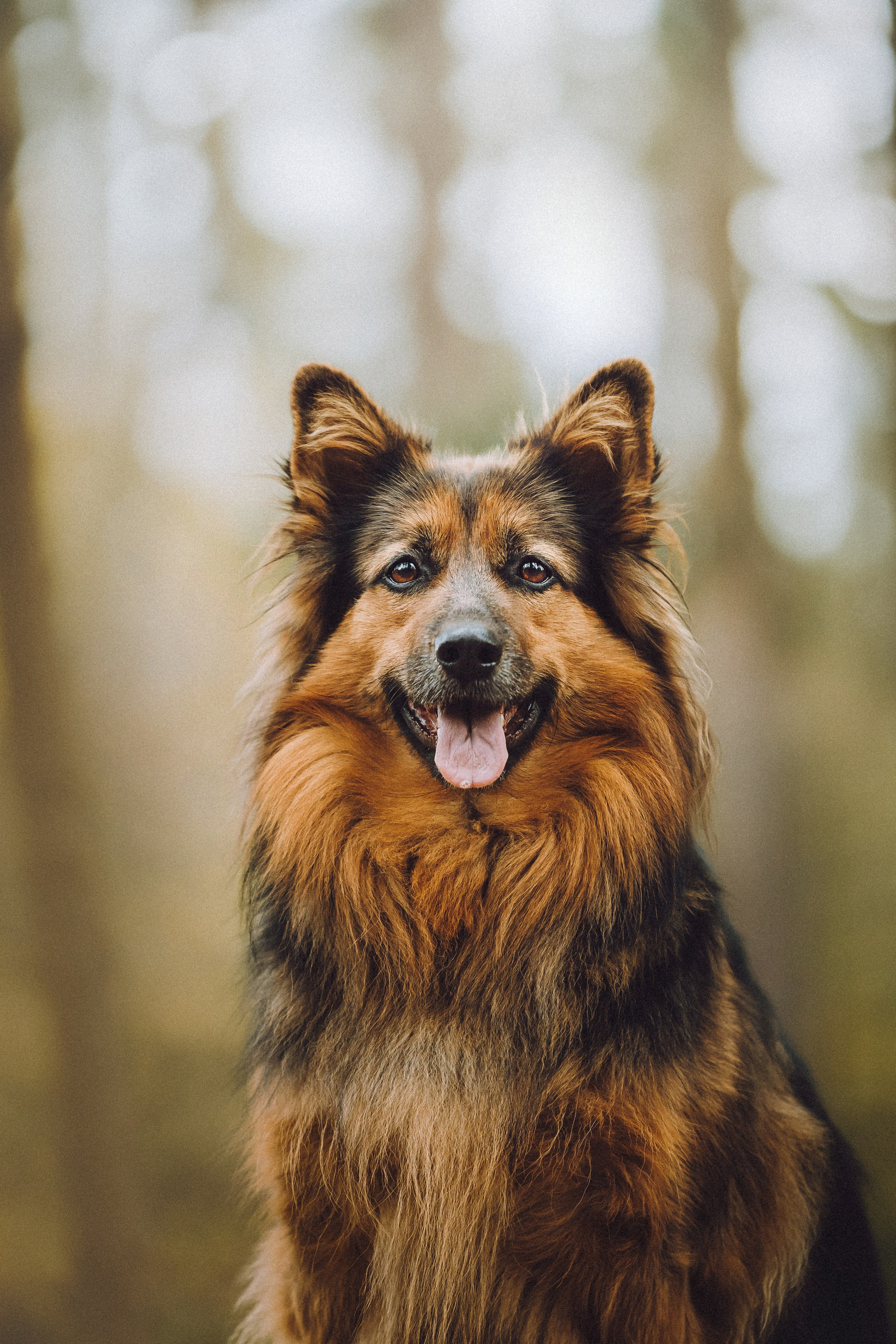 Хлоя, Герда и их семья