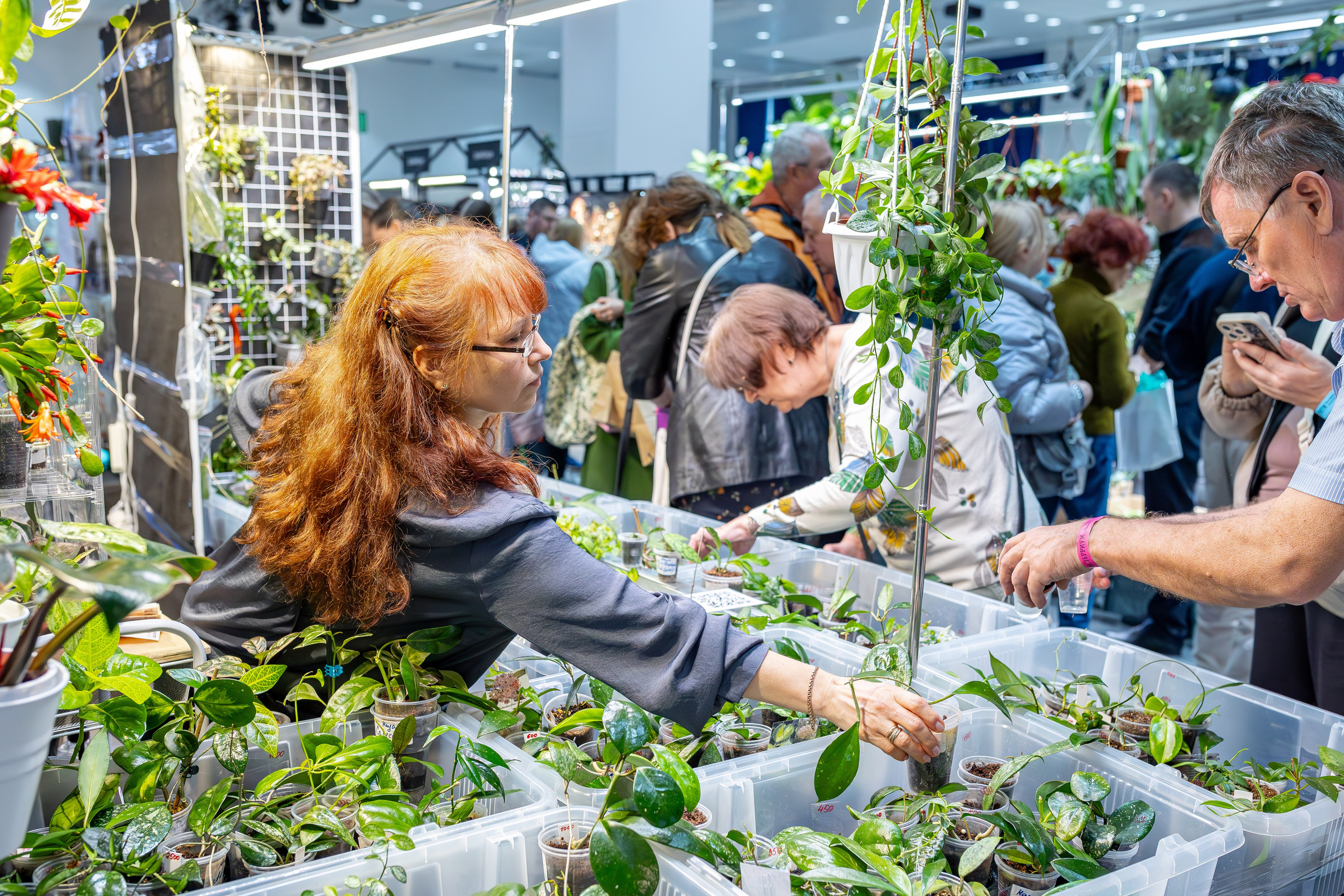 Монстериум апрель 2026. Александра Куликова фотограф, Москва