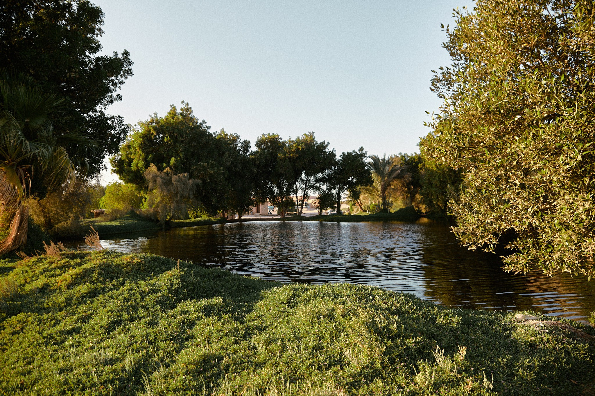 Природа. Jorgis Talè — photographer, kind person, teacher of arts and other mag