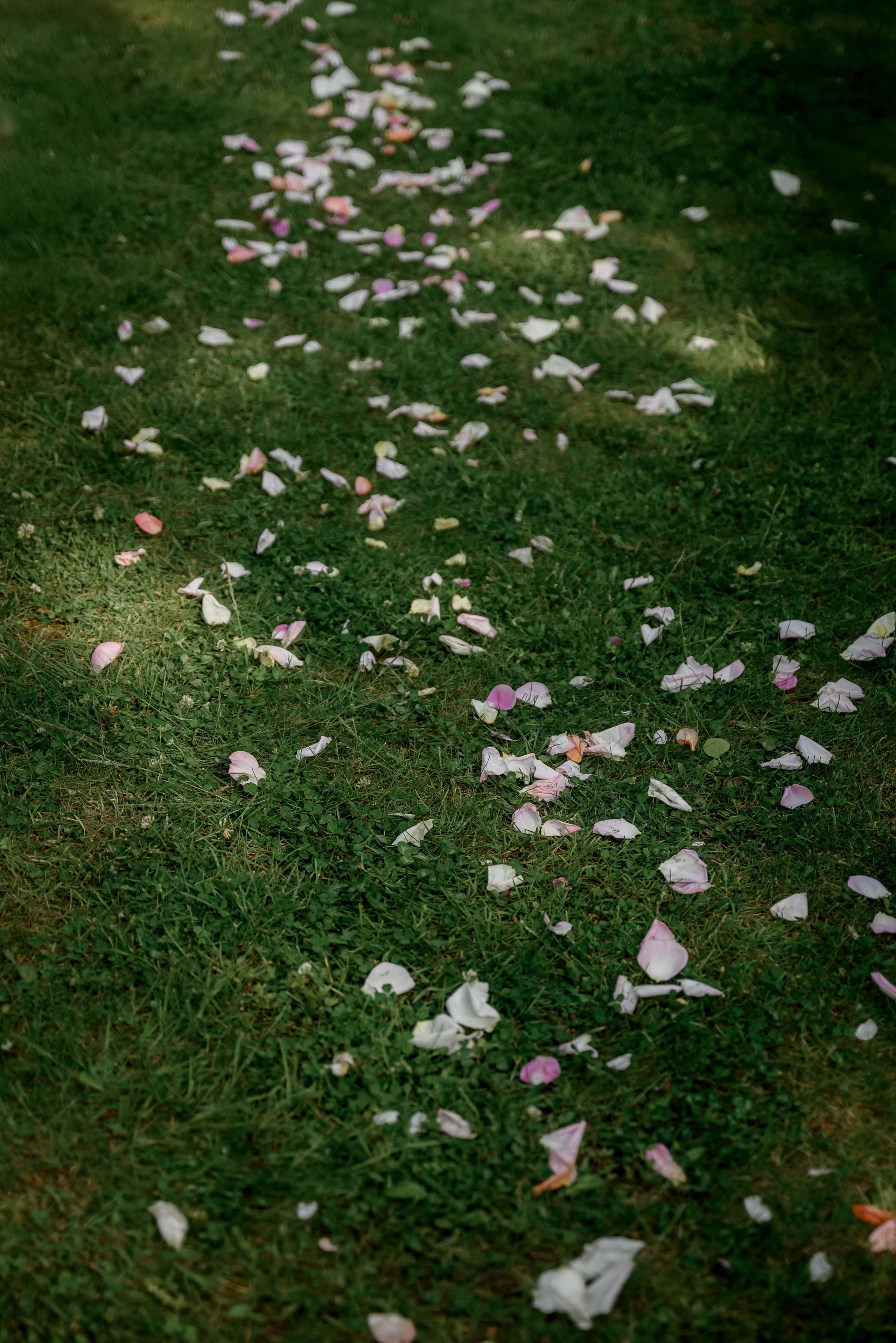 Иван и Анна. Фотограф Анна Абрикосова