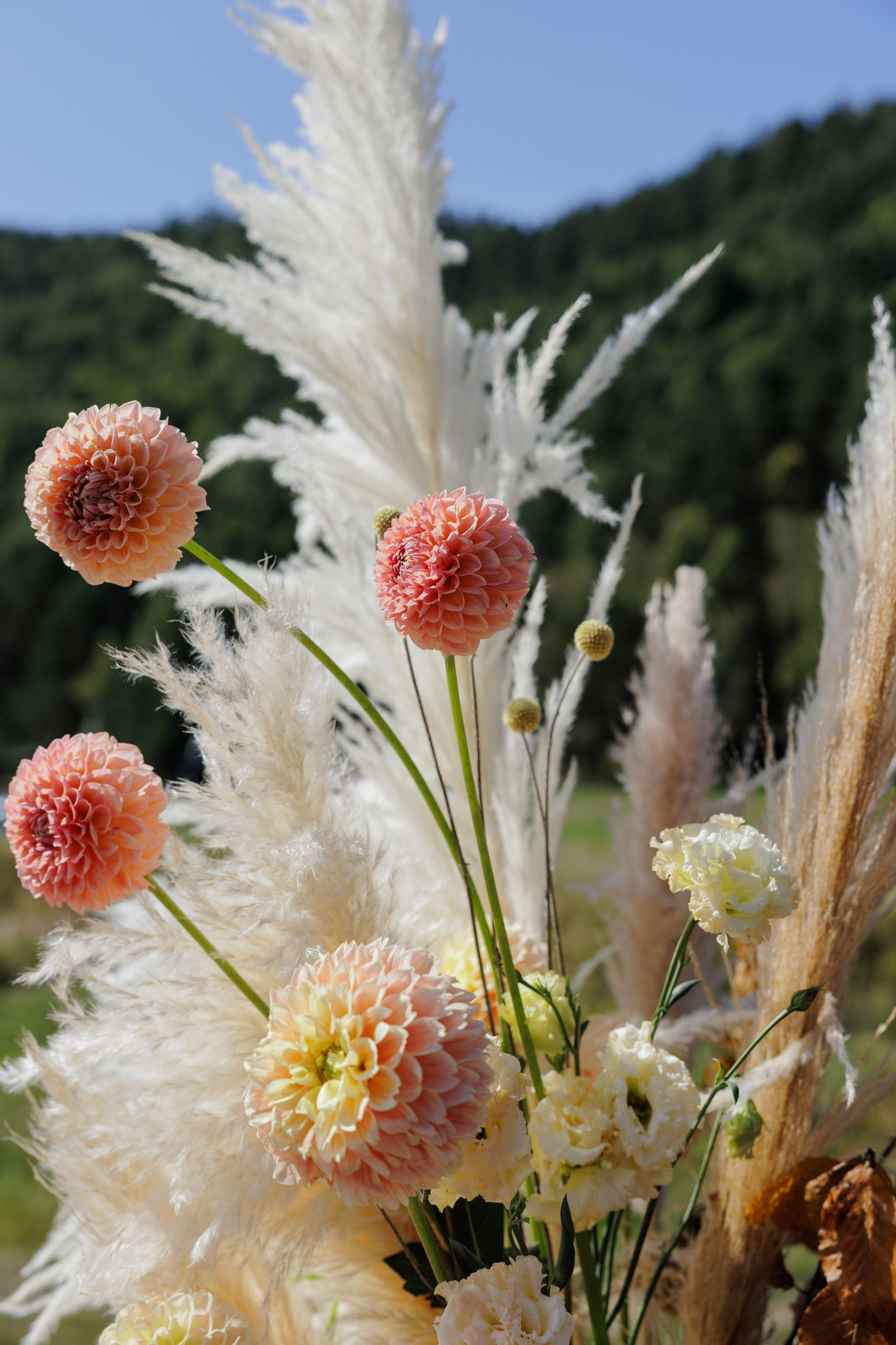 Дмитрий и Алёна. Свадебный фотограф