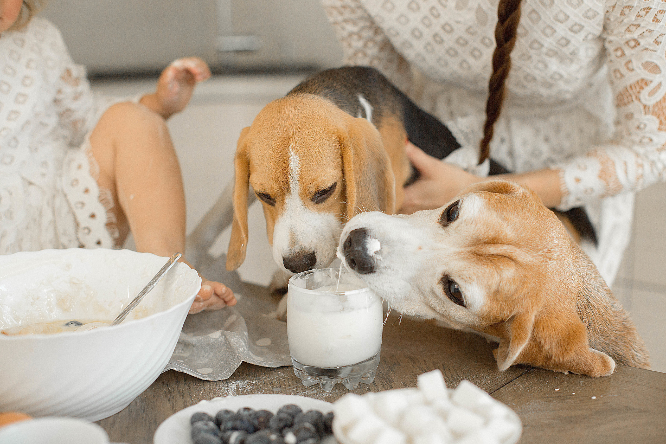 Домашняя фотосессия. Свадебный фотограф Санкт-Петербург  Москва