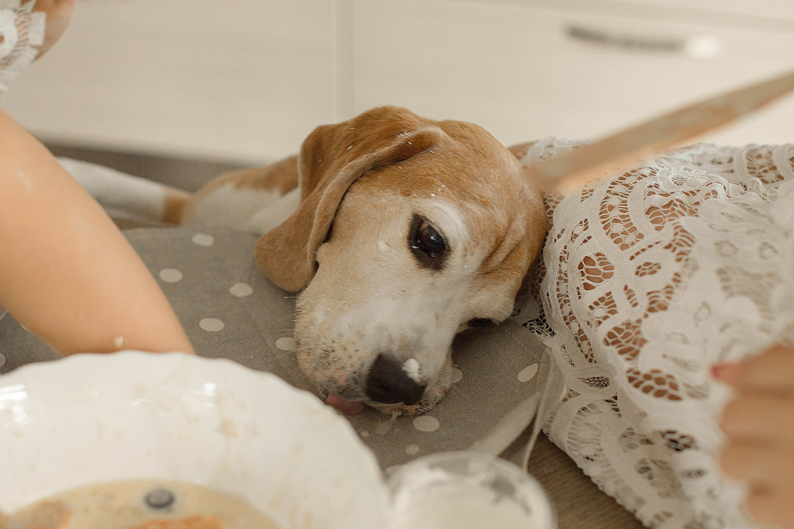 Домашняя фотосессия. Свадебный фотограф Санкт-Петербург  Москва