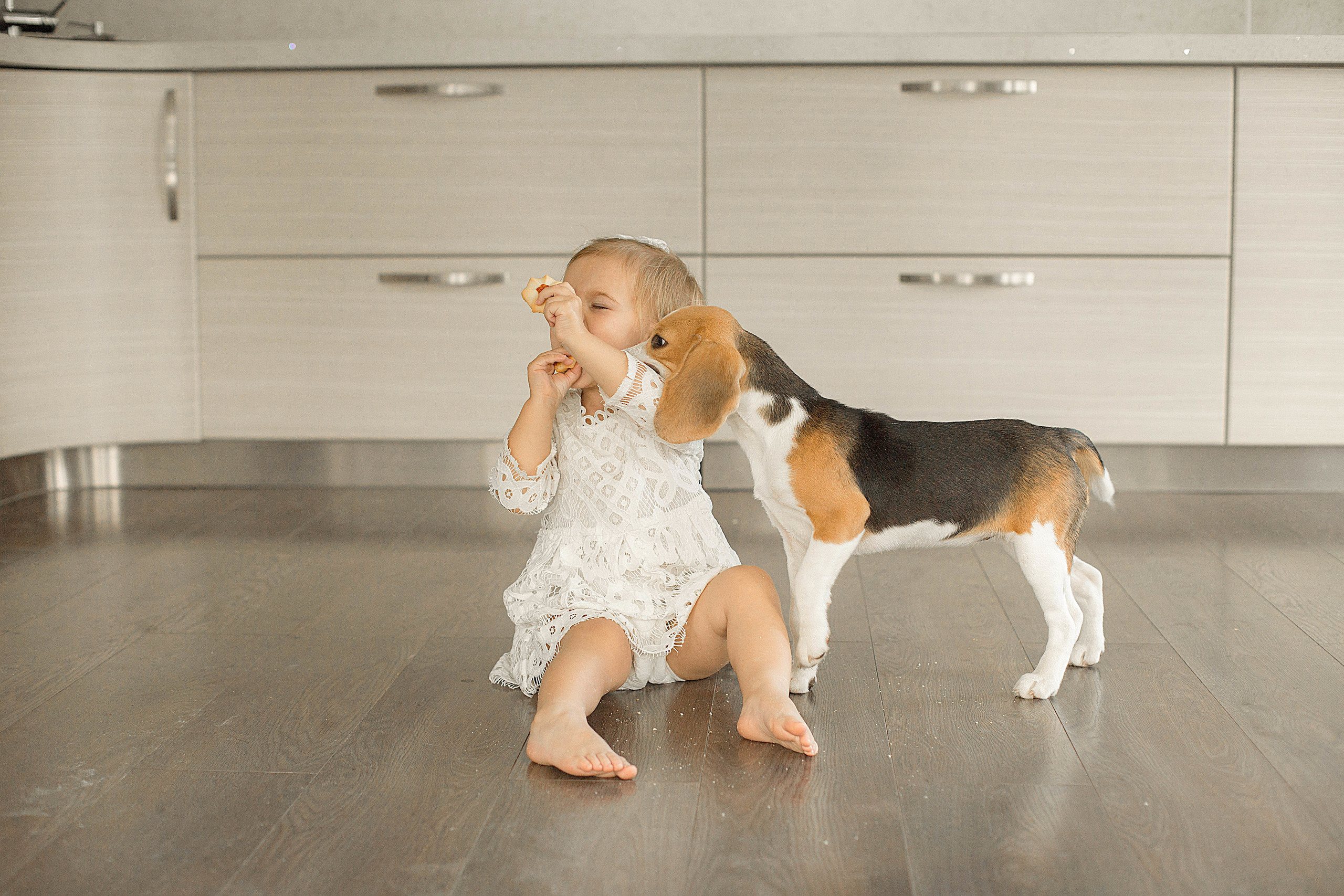 Домашняя фотосессия. Свадебный фотограф Санкт-Петербург  Москва