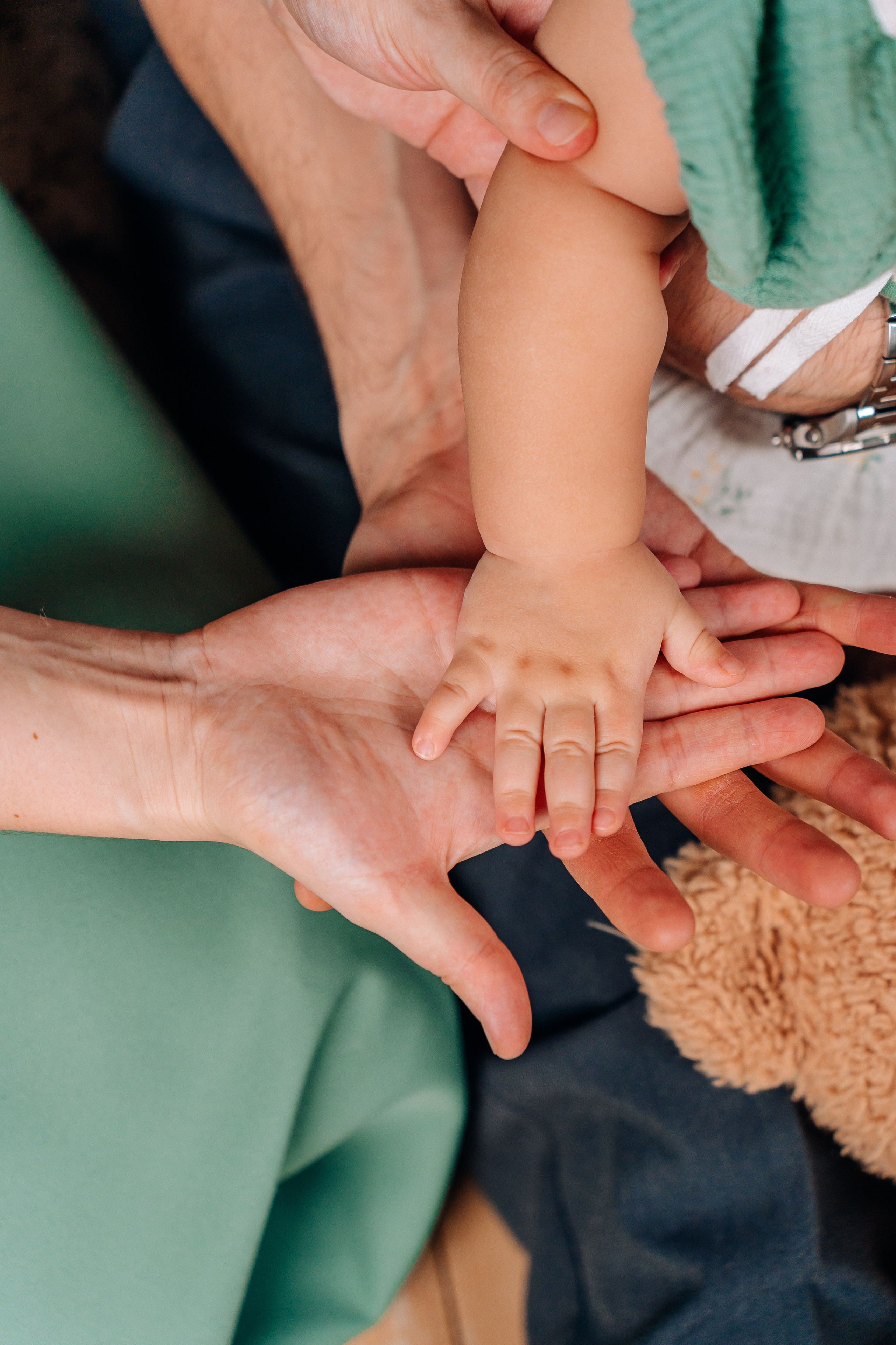 Лента фото. «Лама» Детская фотостудия Уфа