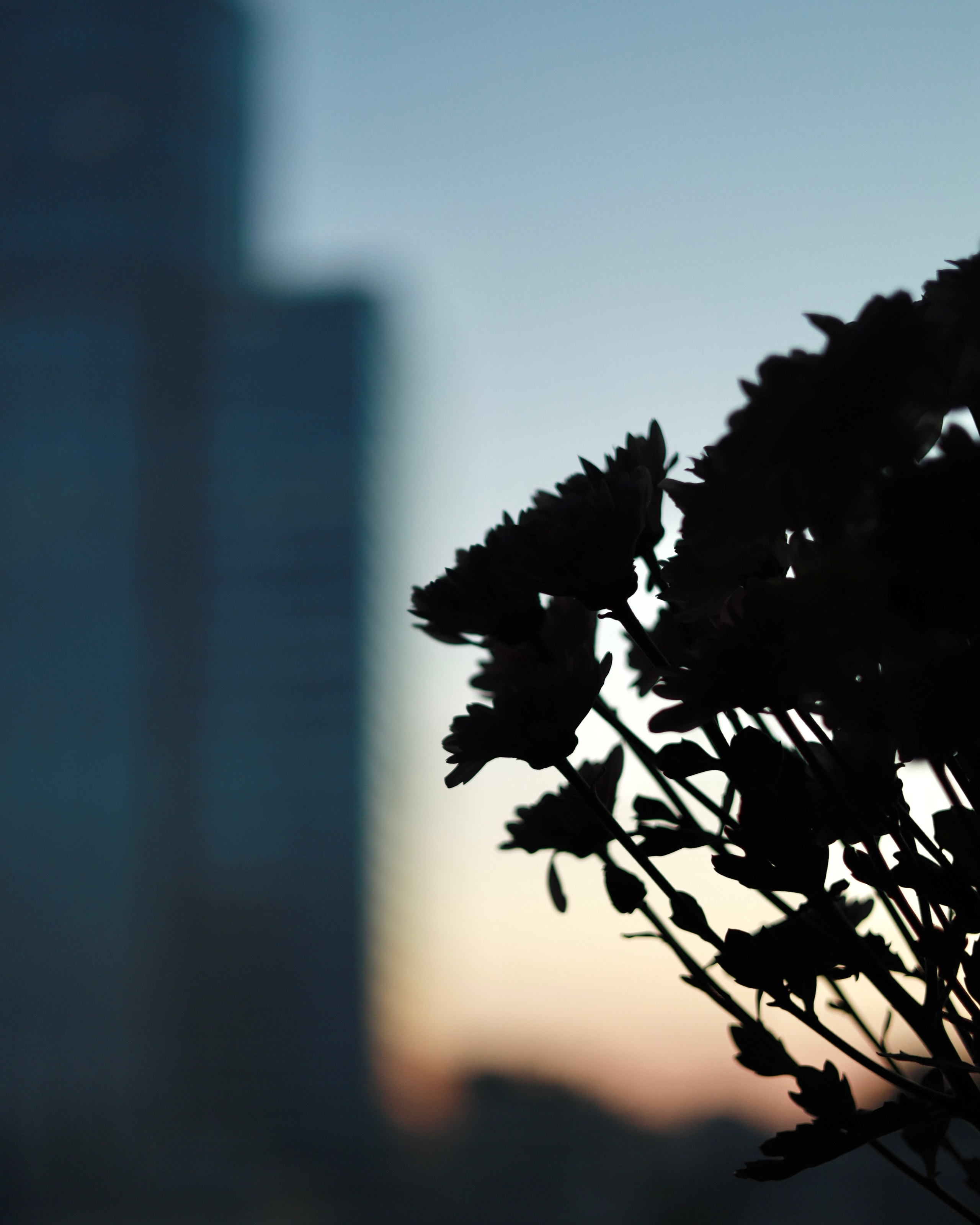 Vibes. Фотограф в Москве, портреты, мероприятия, бренды