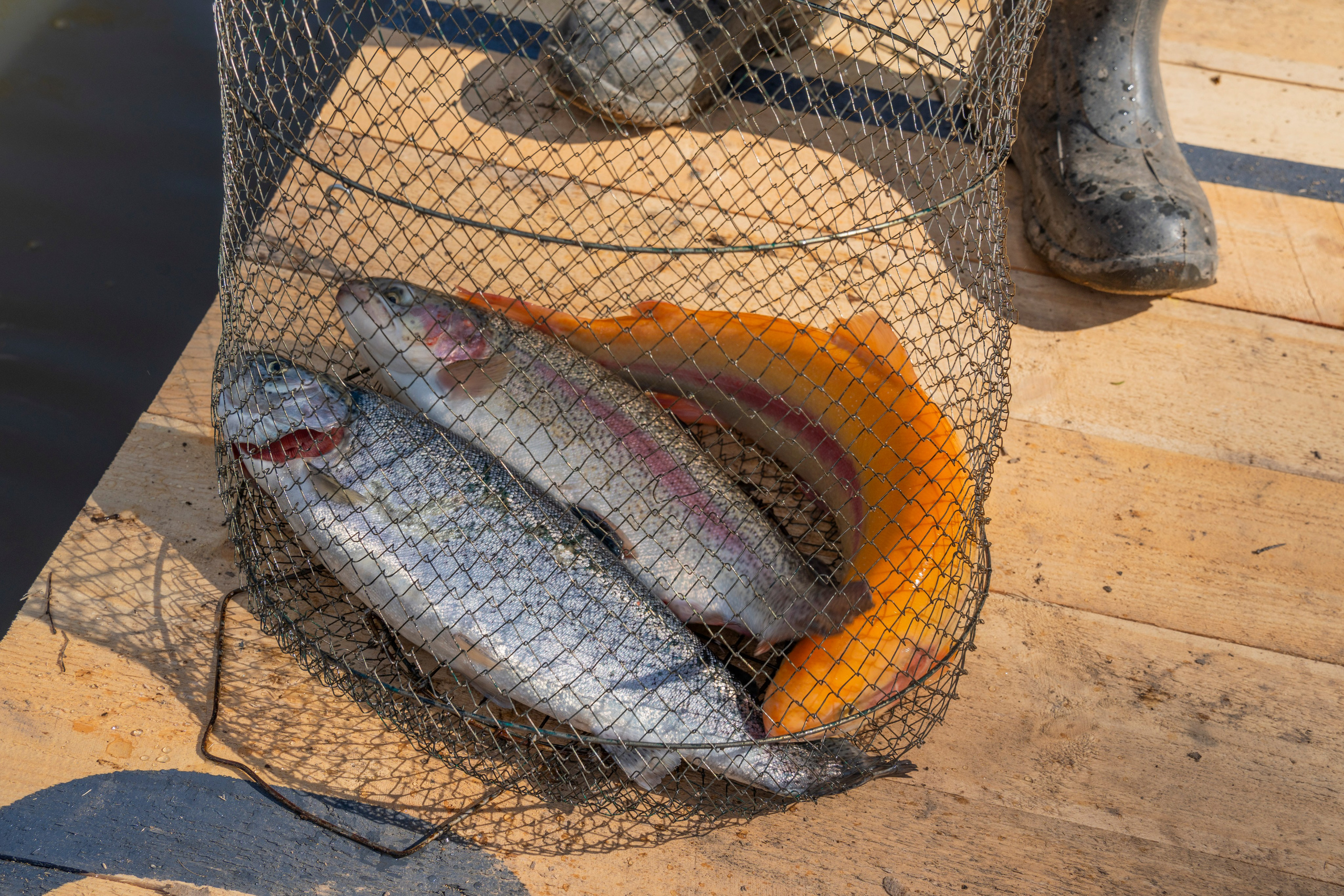 Открытие Спорт зоны в «Водопаде»🐟. Свет, камера, улыбка!