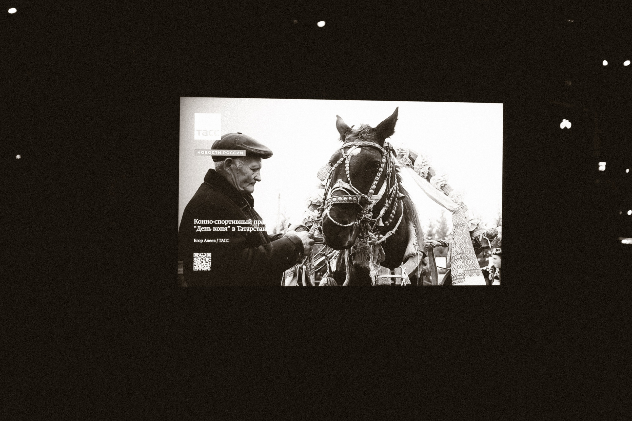 ТАСС. Фотограф Мурманск | Нижний Новгород • Анна Хижняк