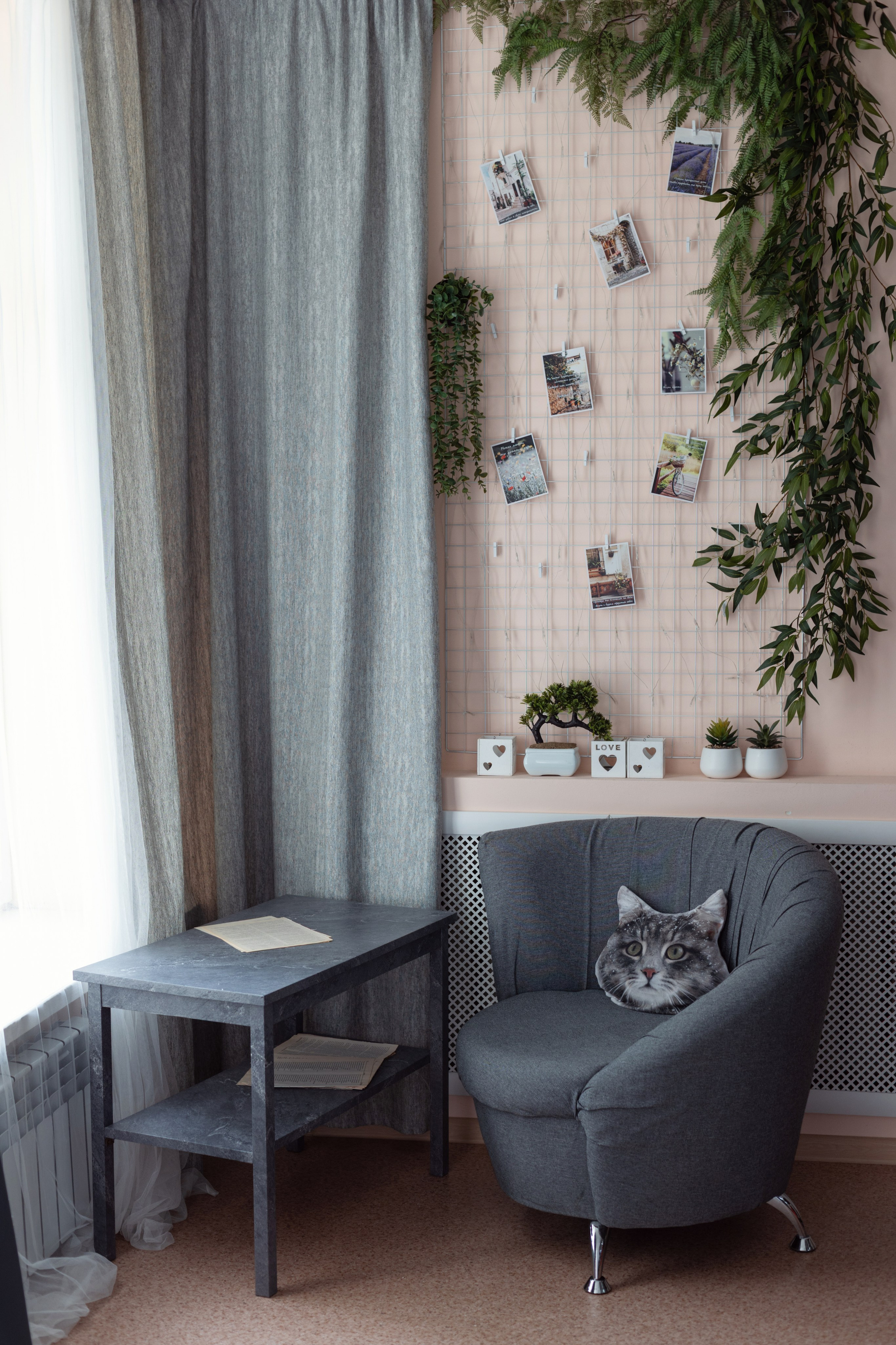 Интерьер фотостудии IRBIS. Фотограф Ирина Бобрешова. Коряжма