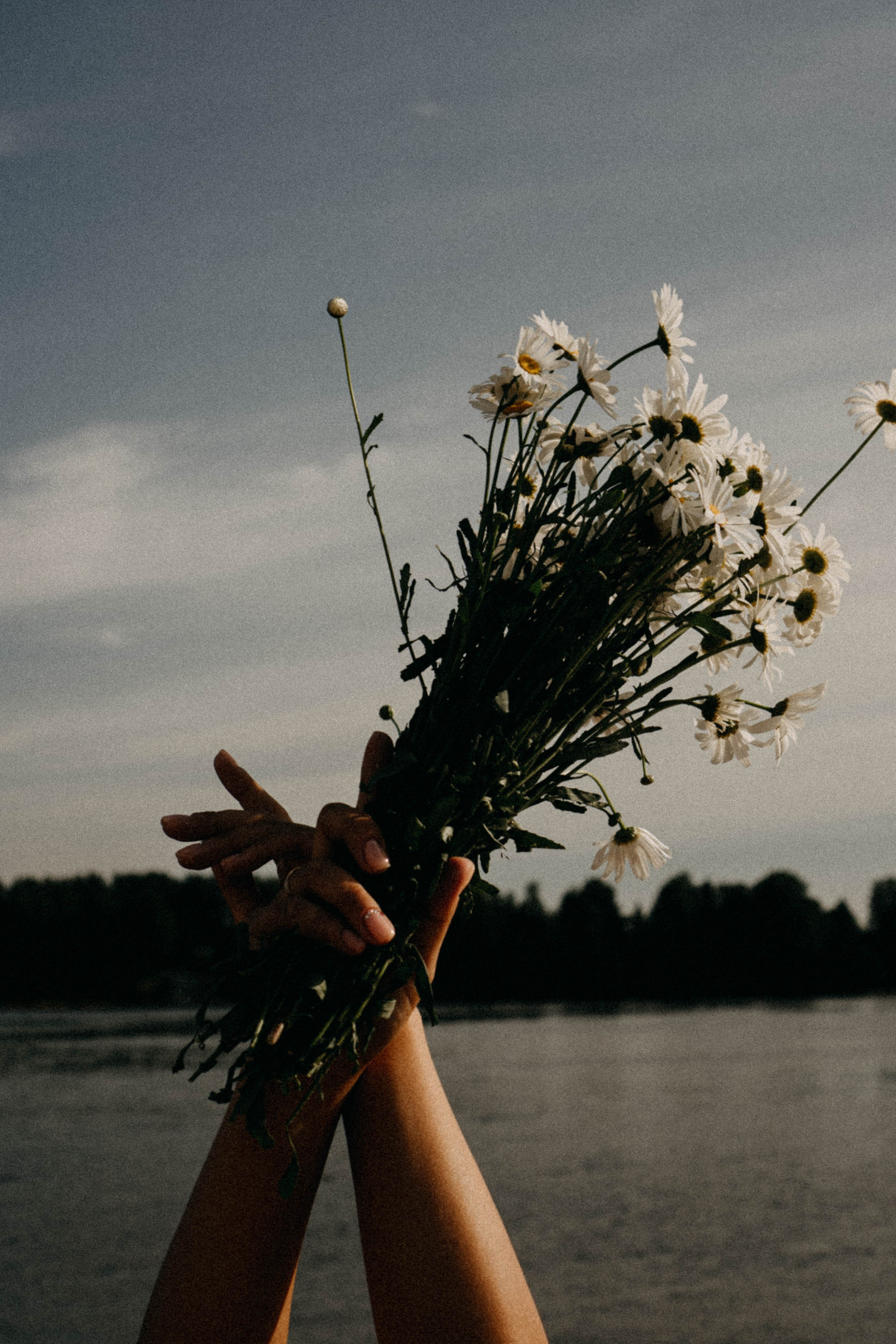 Летняя прогулка. Профессиональный фотограф, Санкт-Петербург — Виктория Богомолова