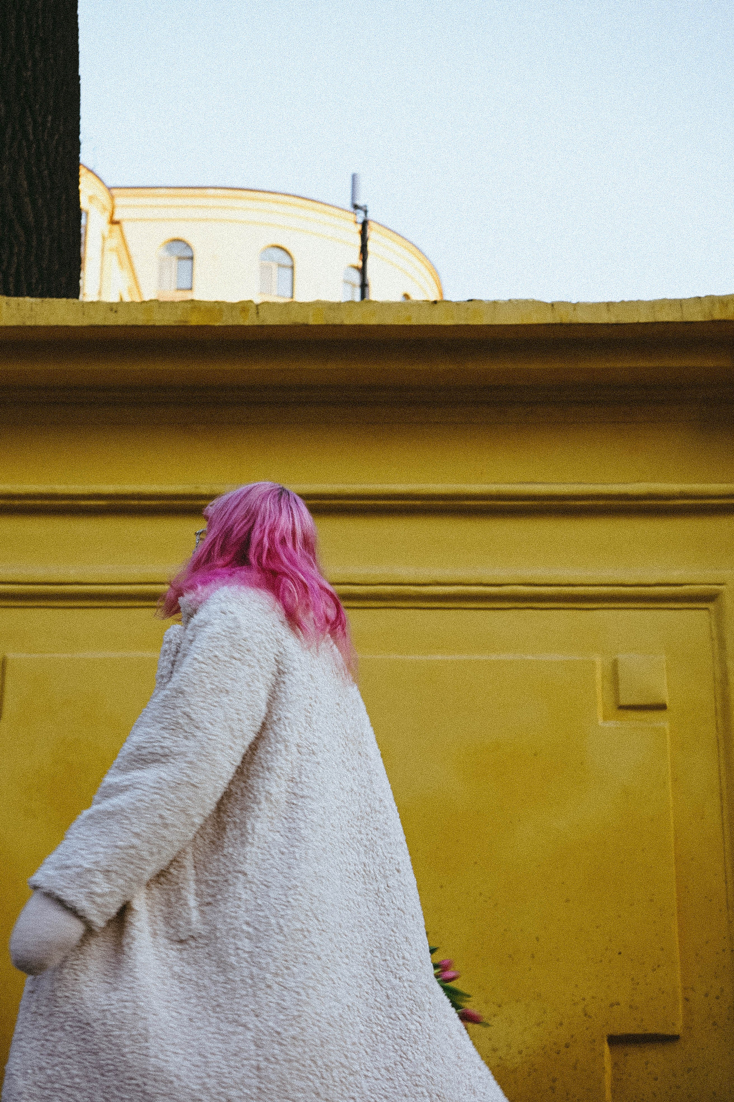 Тюльпаны. Профессиональный фотограф, Санкт-Петербург — Виктория Богомолова