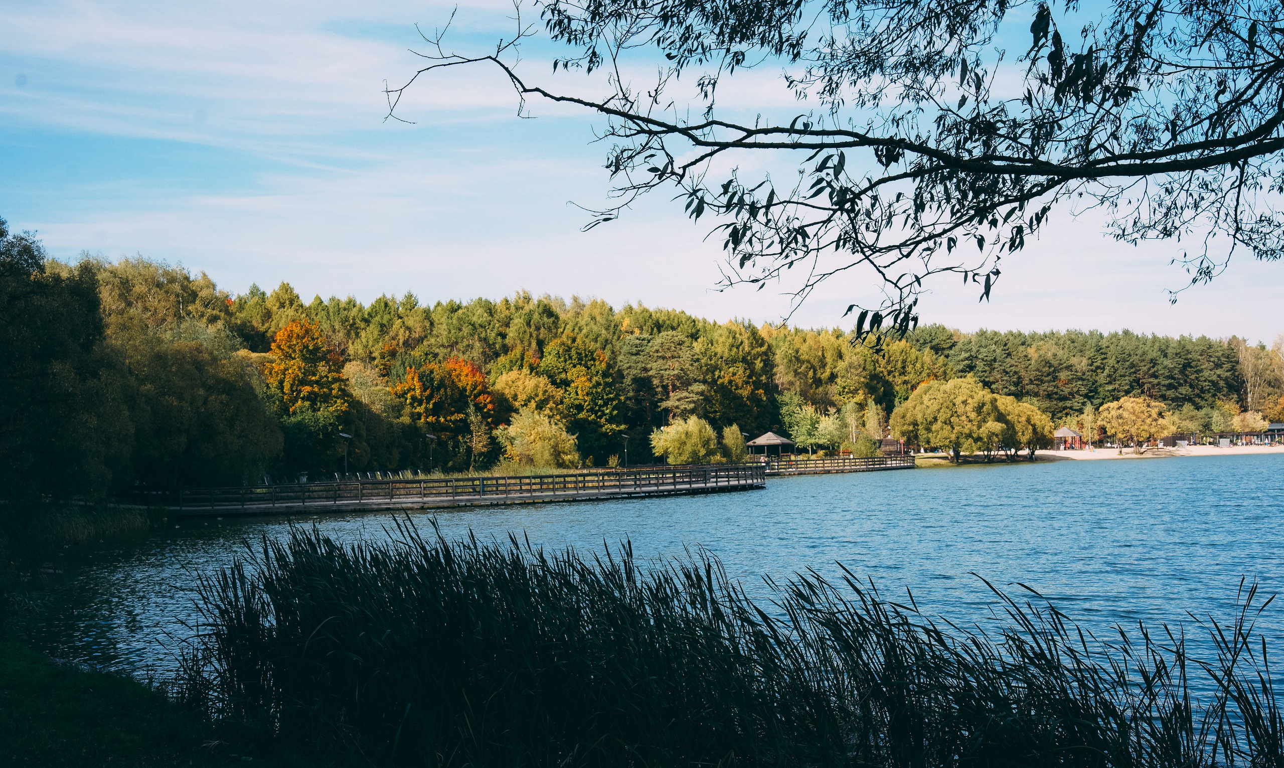 Осень 2025. Фотограф из Москвы — DASHA NOVA | Авторская фотография в разных жанрах