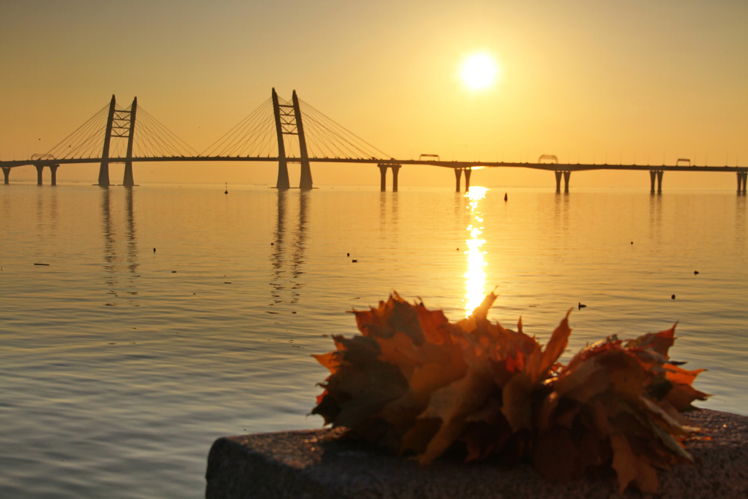 Криэйтор / сценарист / визуальный художник в Екатеринбурге Марина Глазырина