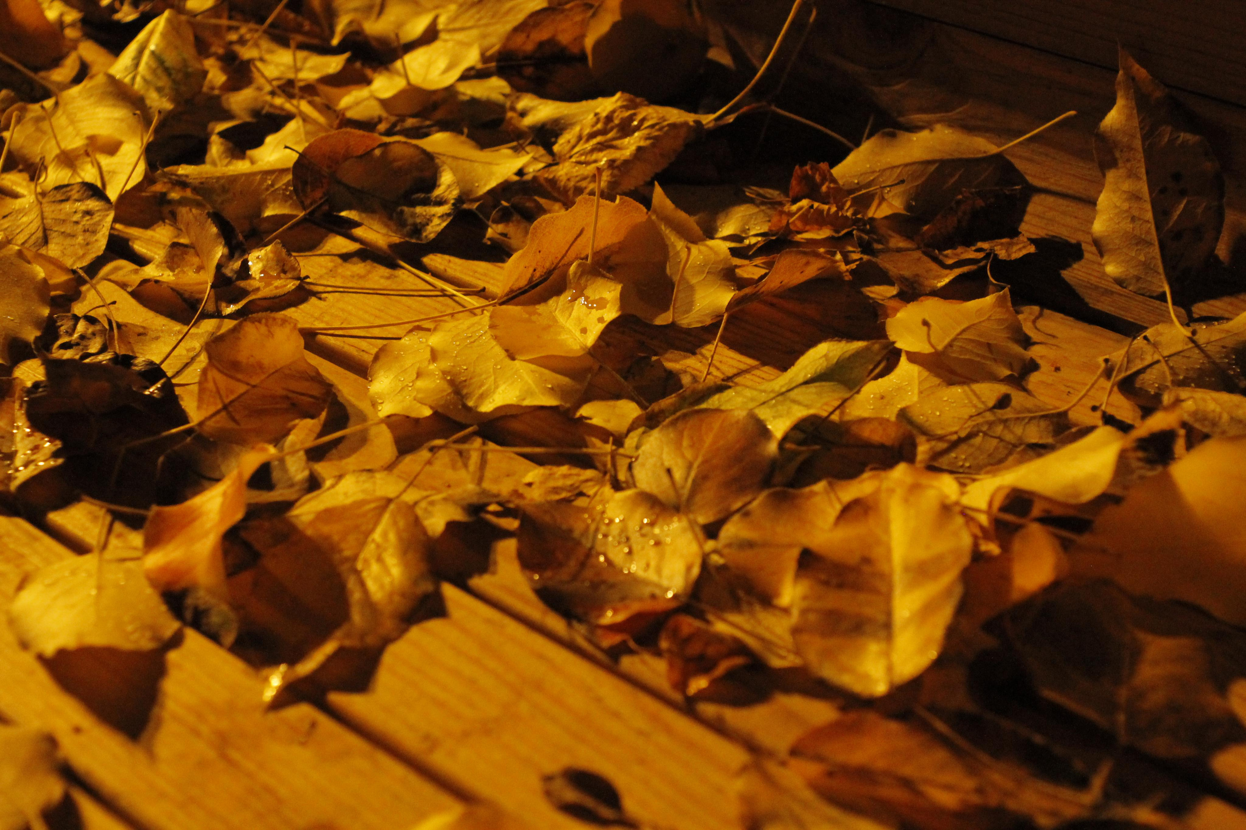 Криэйтор / сценарист / визуальный художник в Екатеринбурге Марина Глазырина