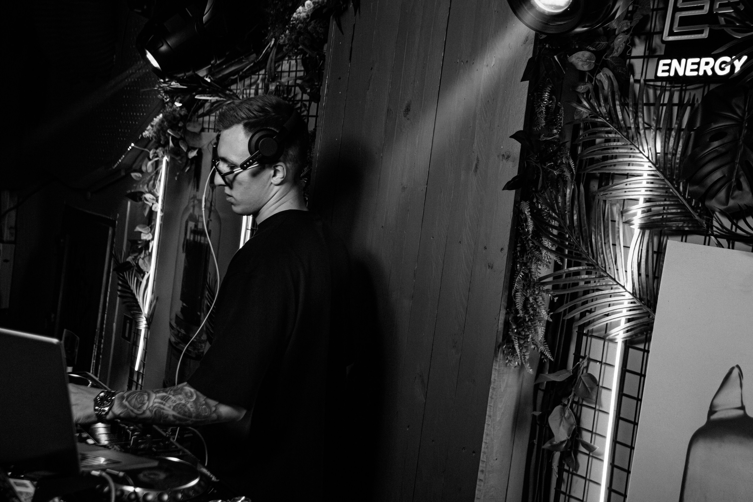 Tortuga_Lambriq_part.1_Симферополь_22.11.2024. Аминов Руслан | Фотограф