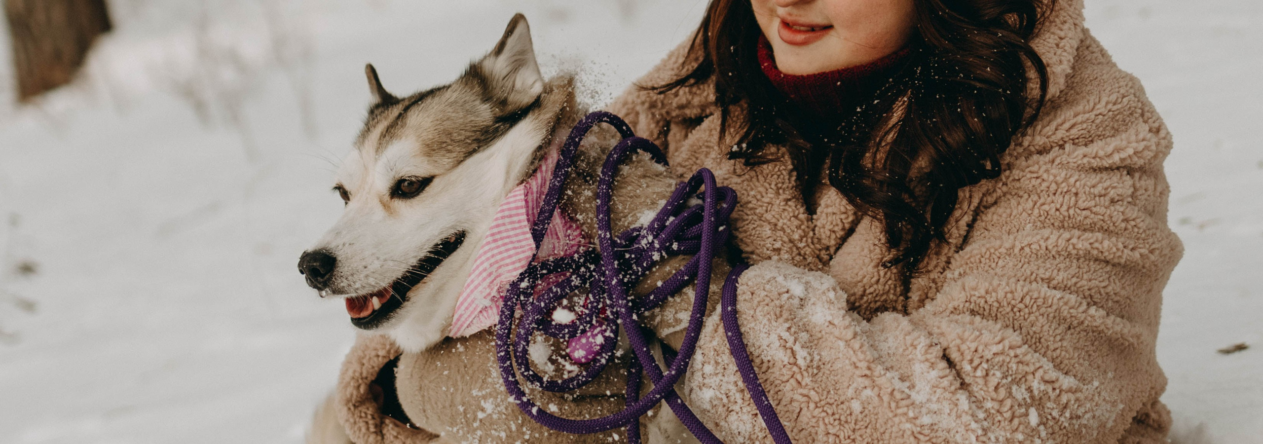 Варвара и Шелби. Фотограф-анималист в Екатеринбурге | Кристина