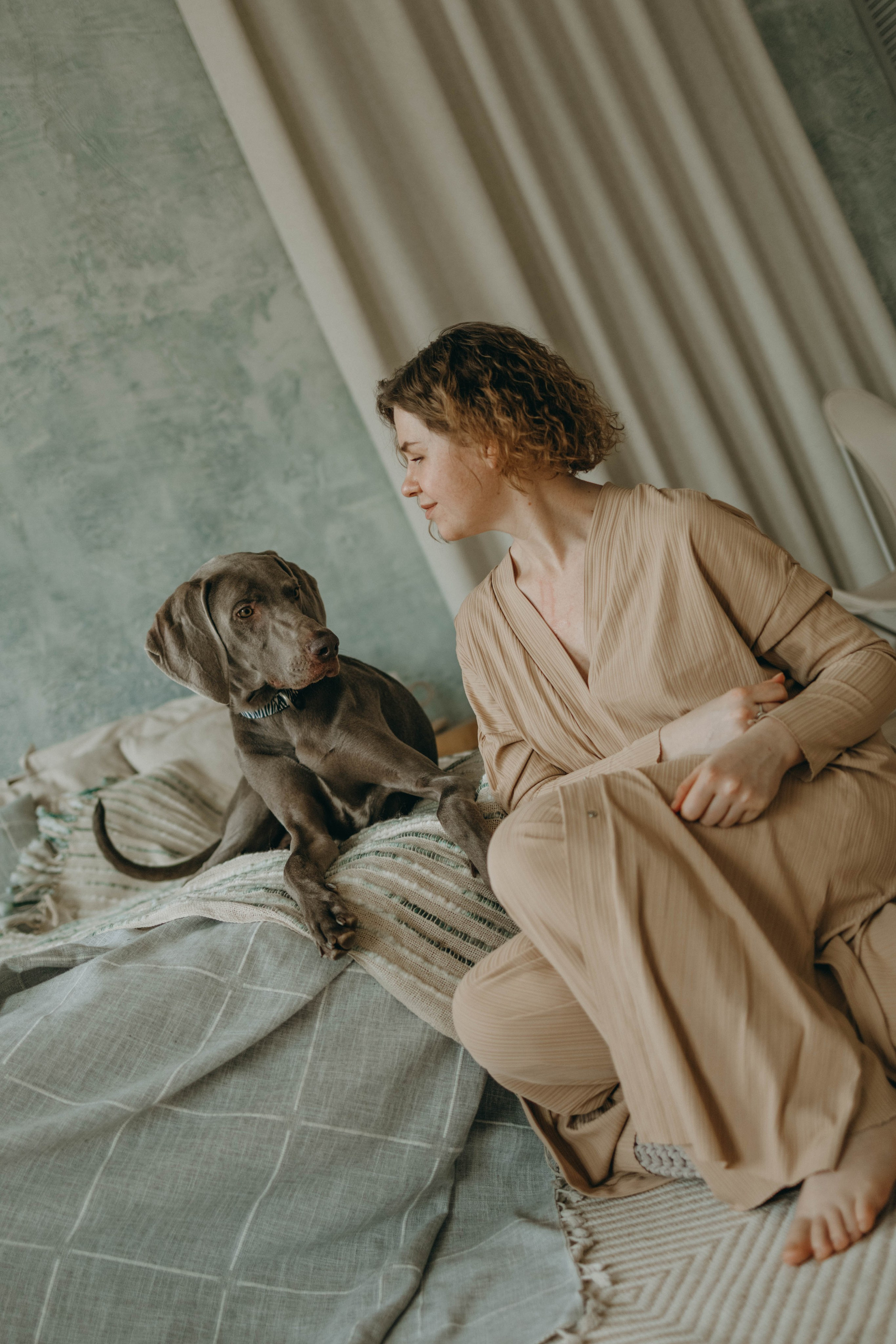 Фотосессия в студии с собакой. Фотограф-анималист в Екатеринбурге | Кристина