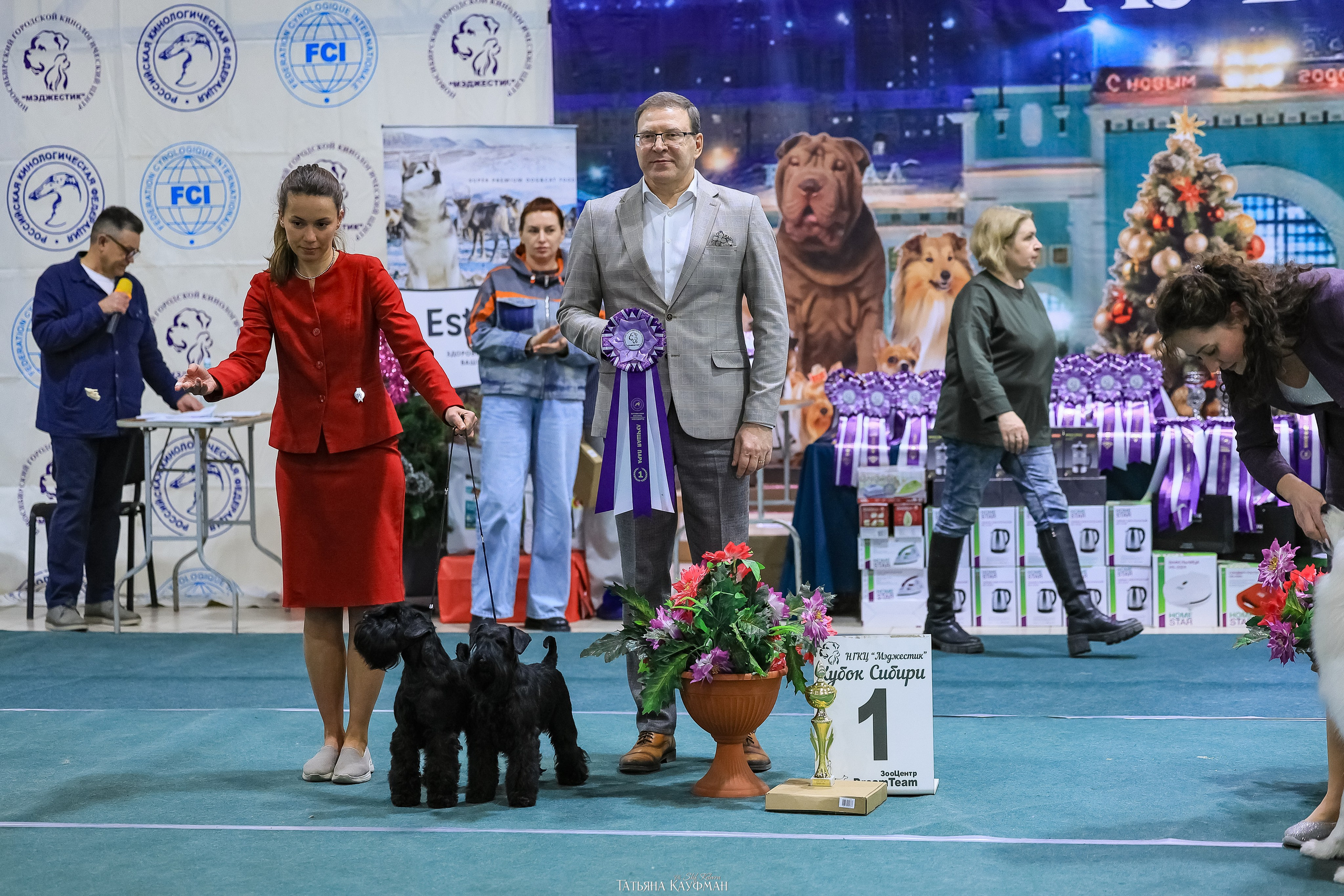 6-7.12.25 — 1-4 Национальные выставки собак в Новосибирске (2х рейтинговые). Фотограф Анималист из Новосибирска Татьяна Кауфман