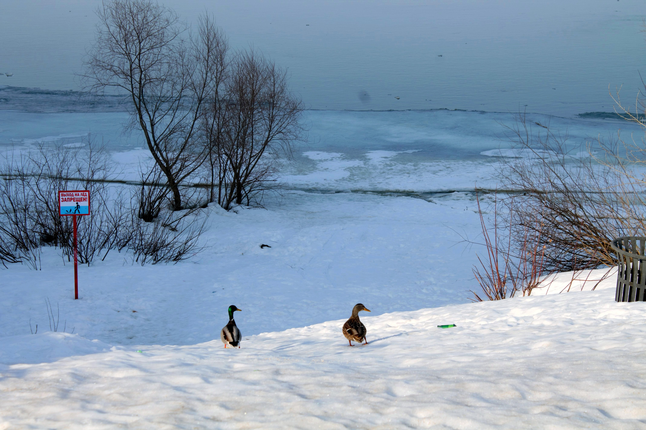 Весенняя прогулка по набережной Волги. Isaev-foto.ru
