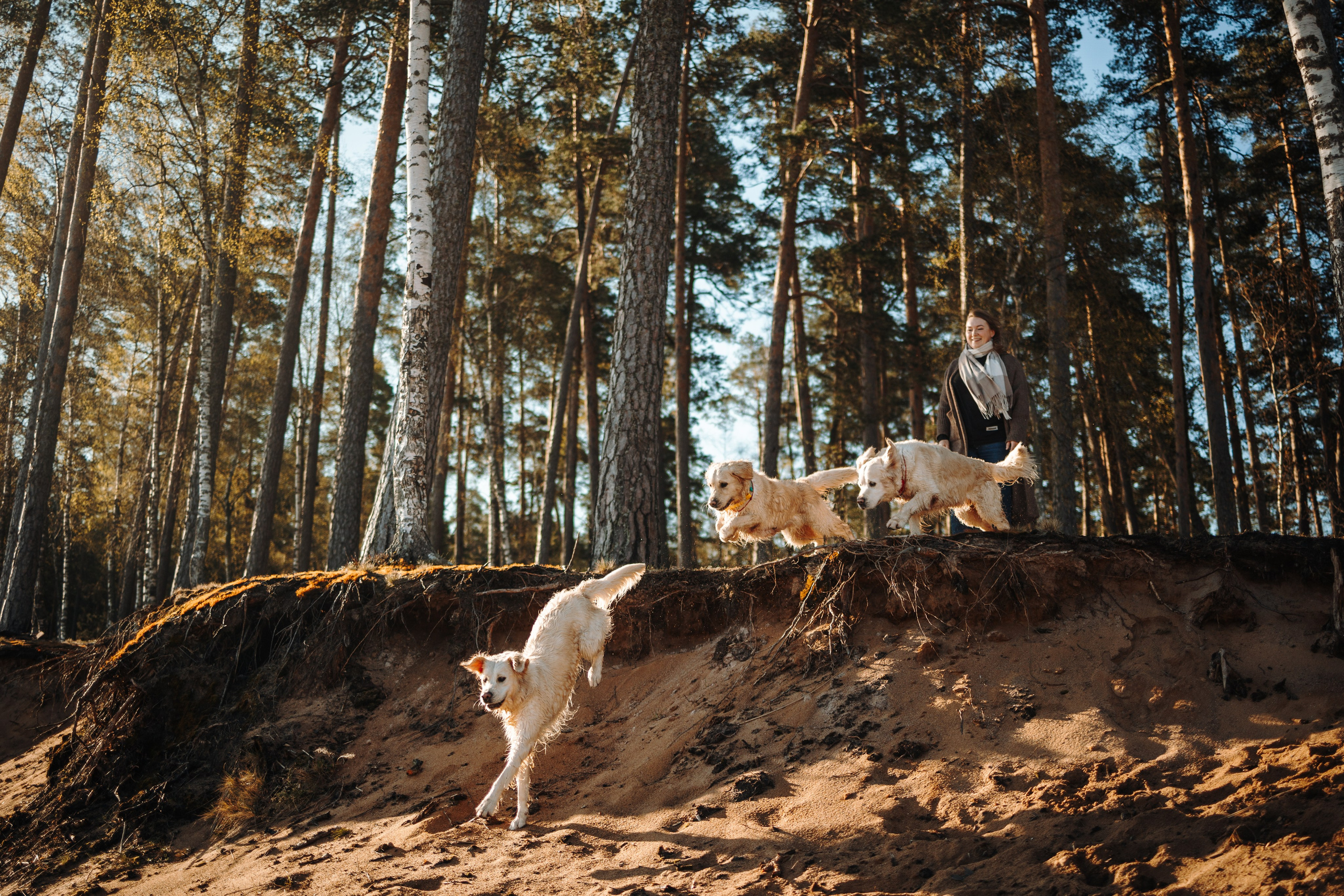 Катя и ее девочки. Фотограф — Анималист | Санкт-Петербург