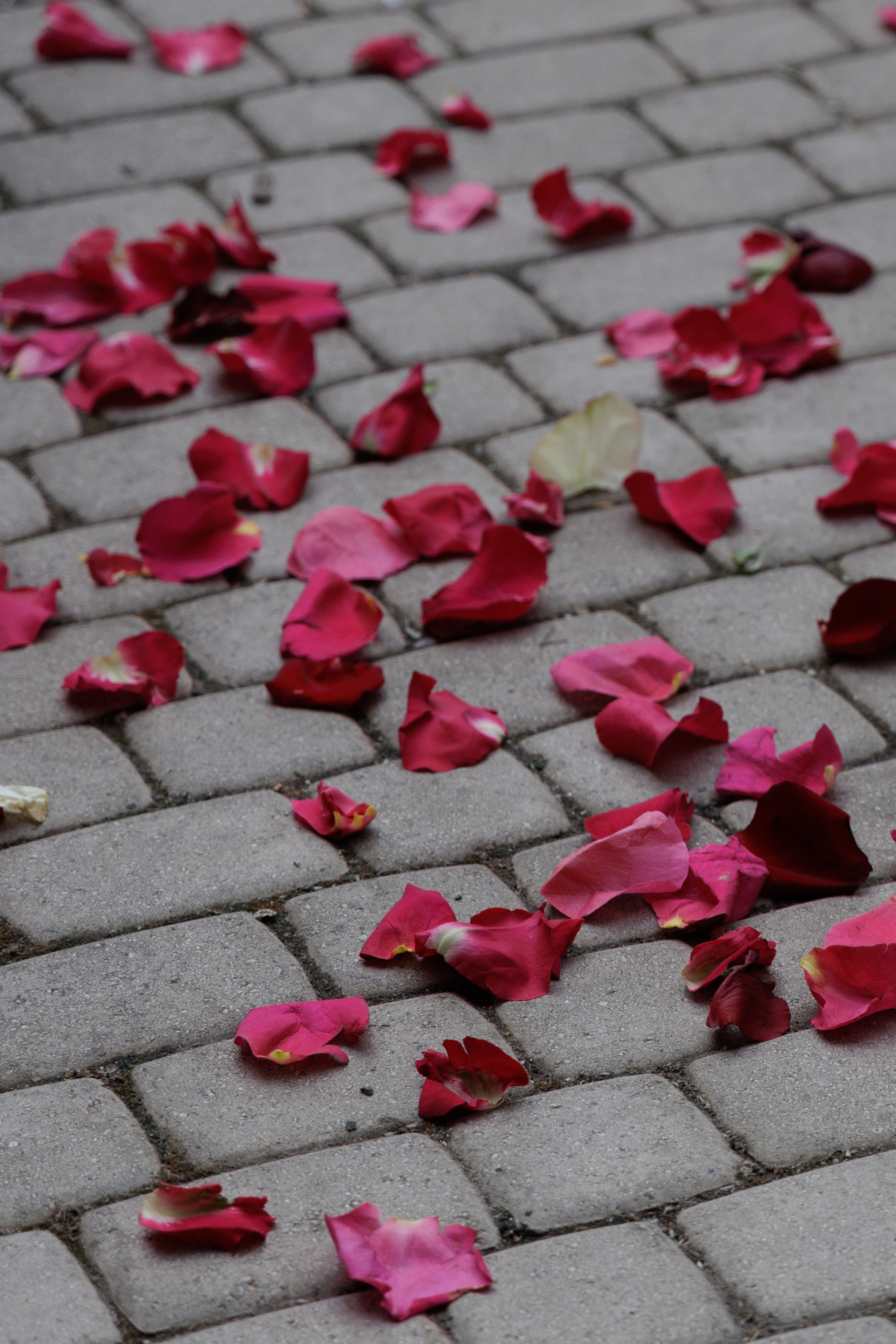 И&И. Фотограф Таганрог Хребет София