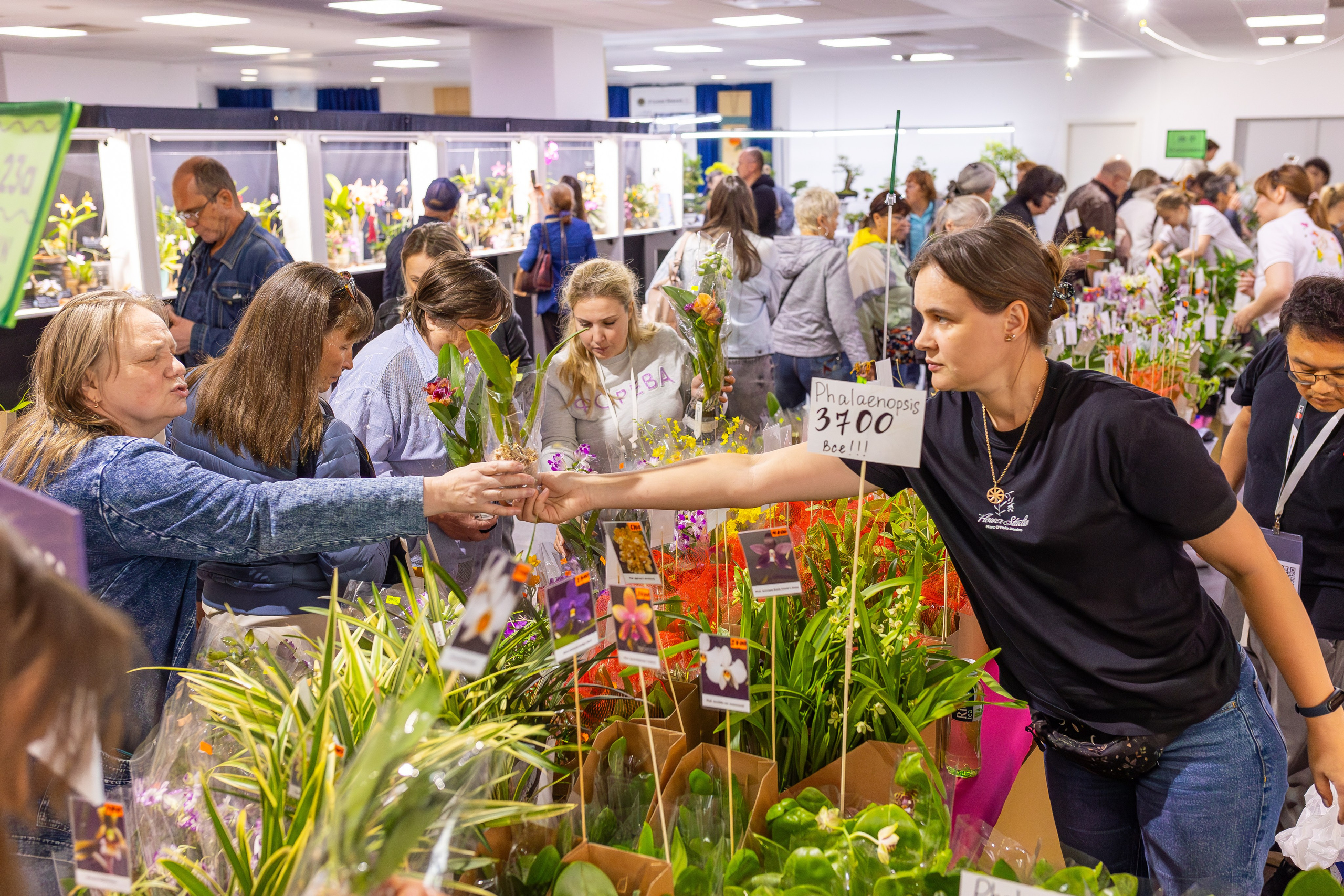 Орхидиум сентябрь 2025. Александра Куликова фотограф, Москва