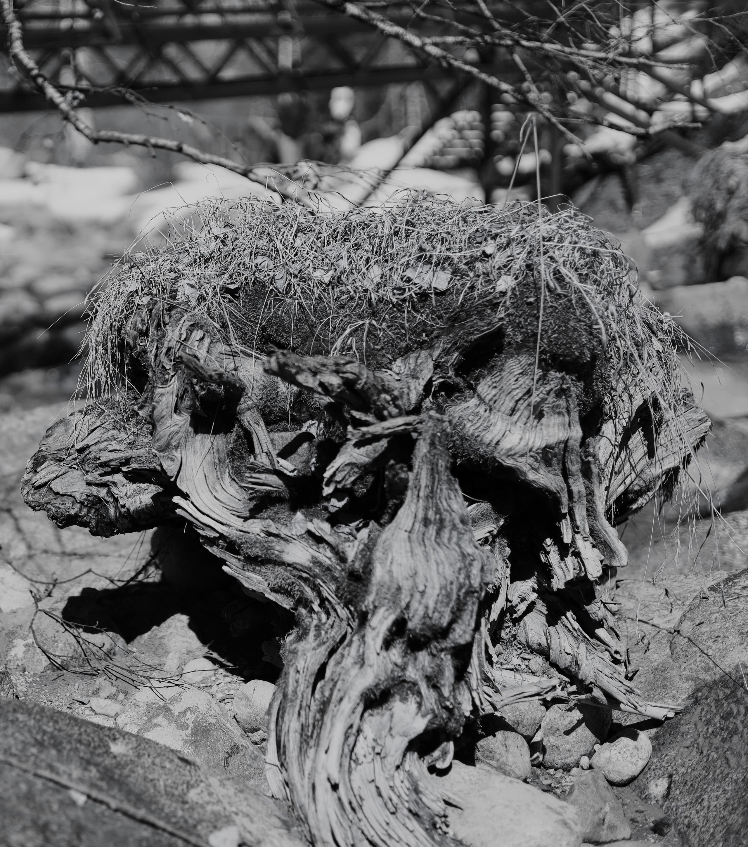 | Девичьи Слезы |. Фотограф |Алматы | Ruslan Zhadigerov