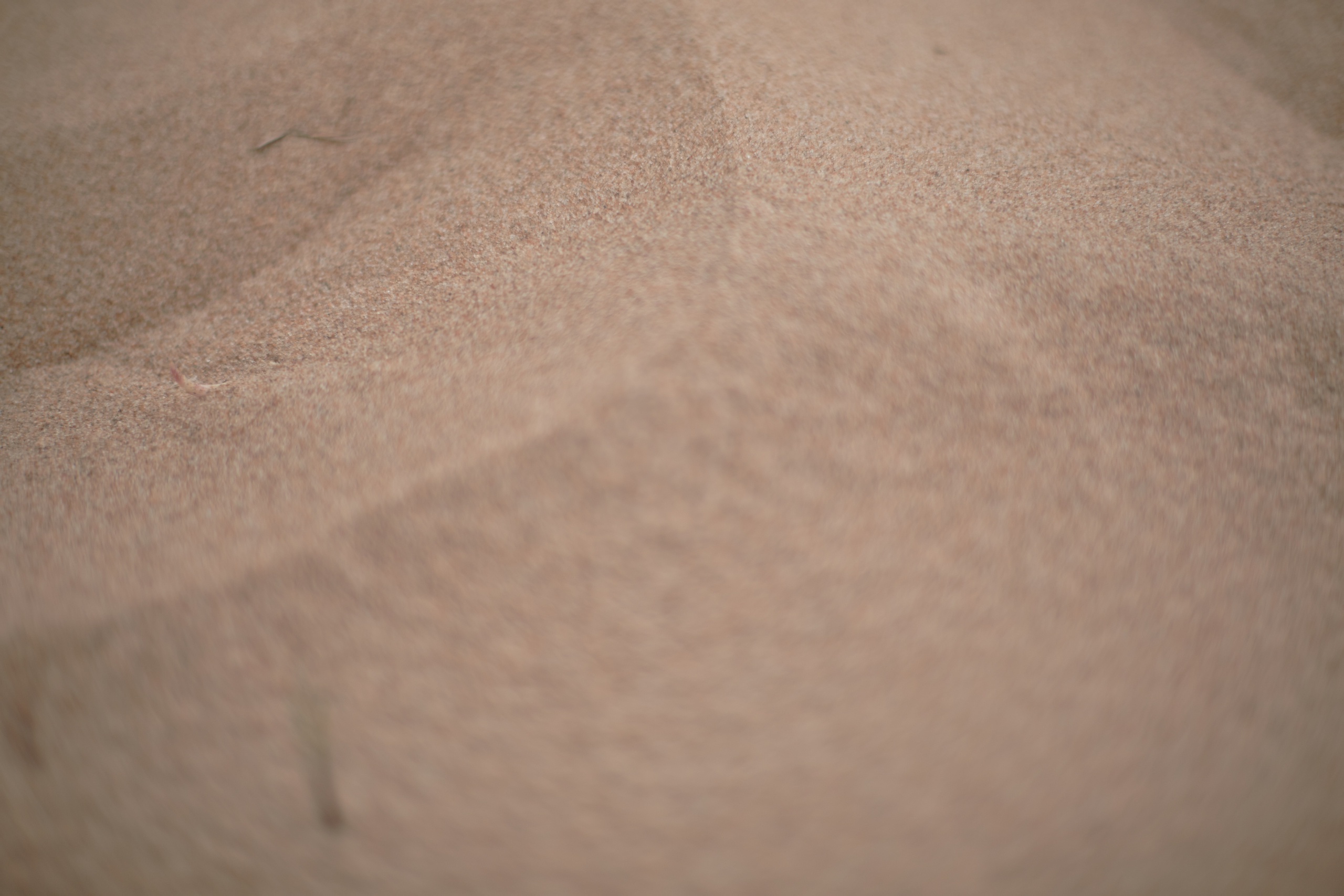 Lookbook for Nastya Kurnikina. Фотограф Анастасия Федорова  Санкт-Петербург