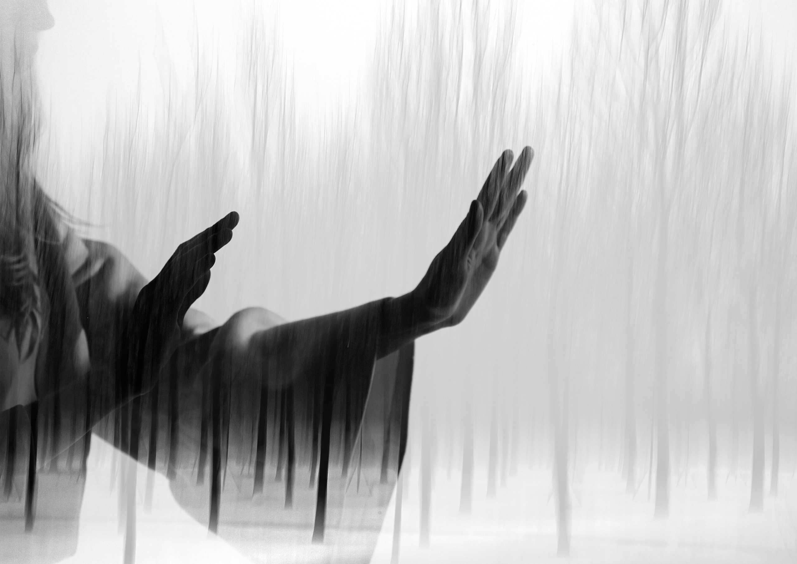 In forest. Фотограф Анастасия Федорова  Санкт-Петербург