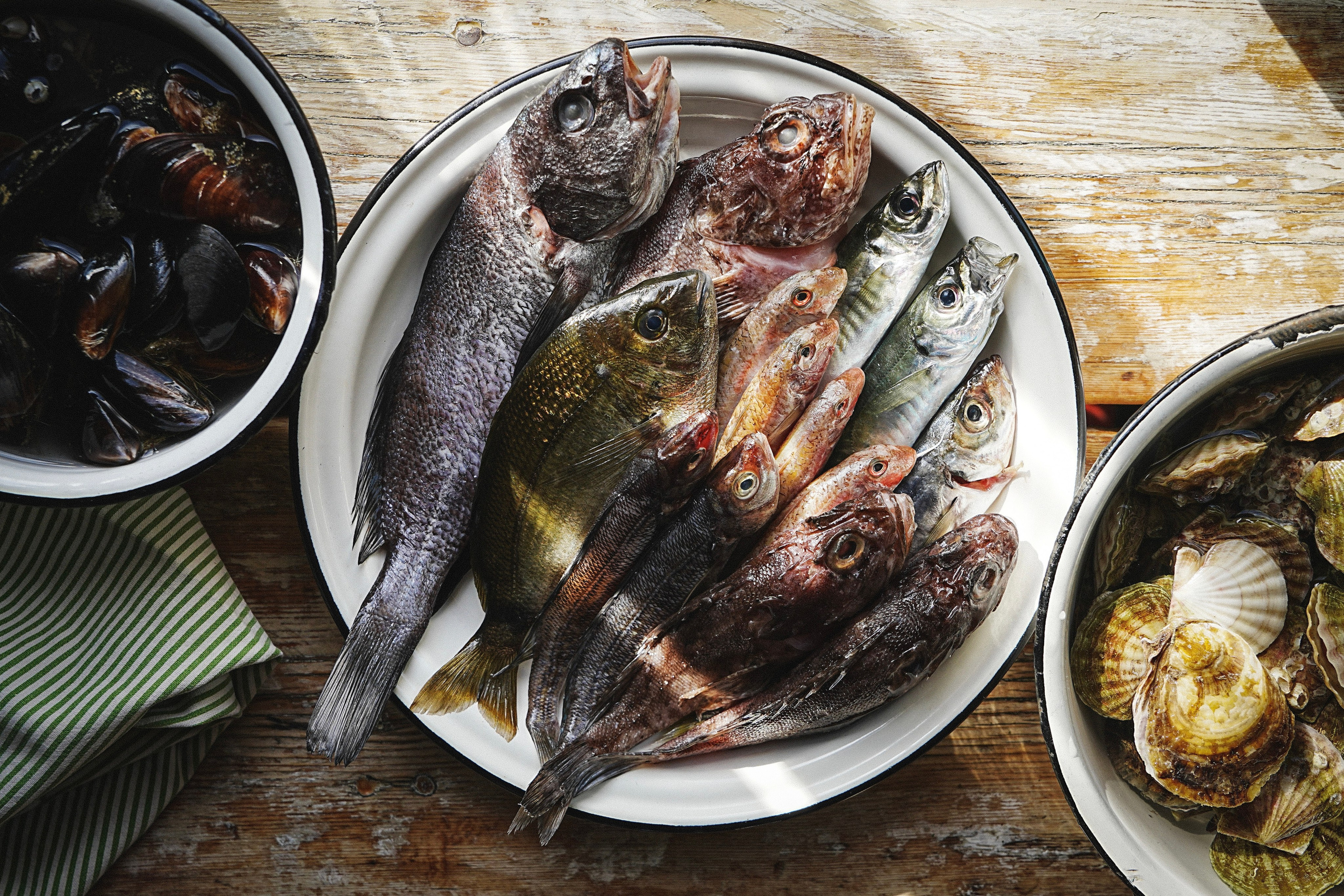 Фотосессия для рыбного ресторана. Фотограф в Крыму Алевтина Швец