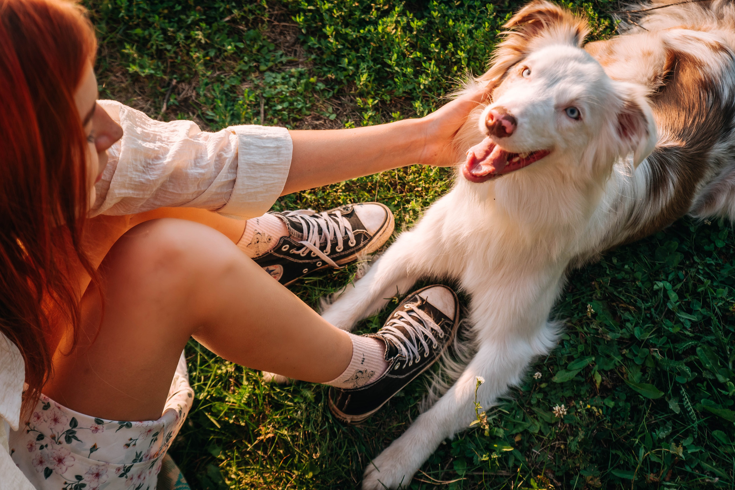 Лиза и Айви. Главная