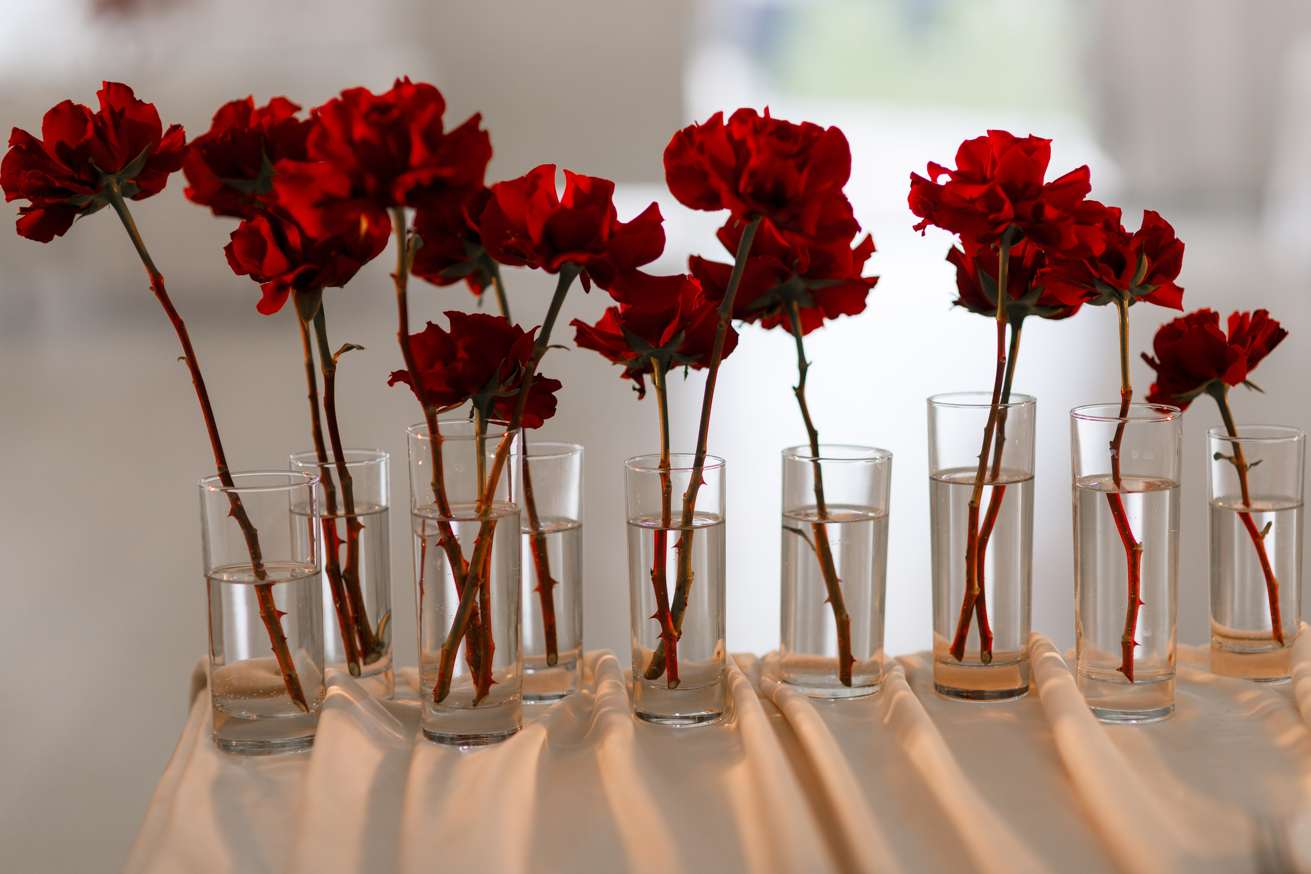 Анастасия и Павел. Фотограф Дарья Норкина