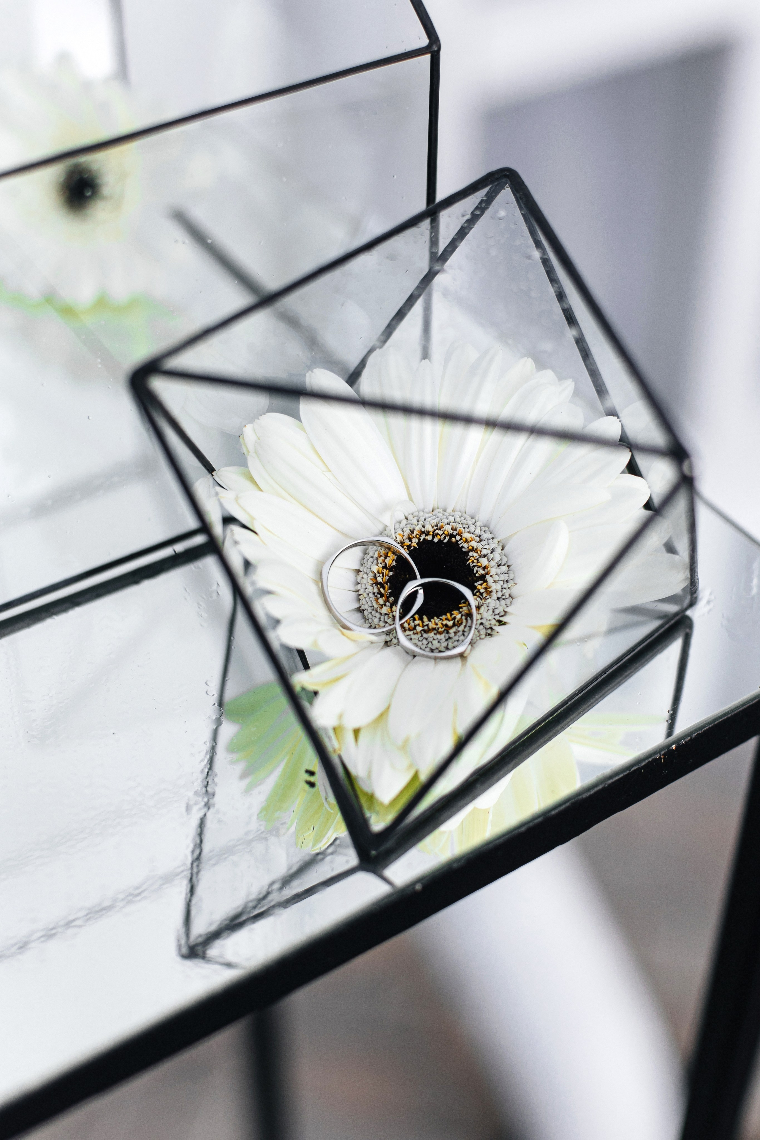 Олег и Галина. Свадебный фотограф в Ростове-на-Дону Олег Майер