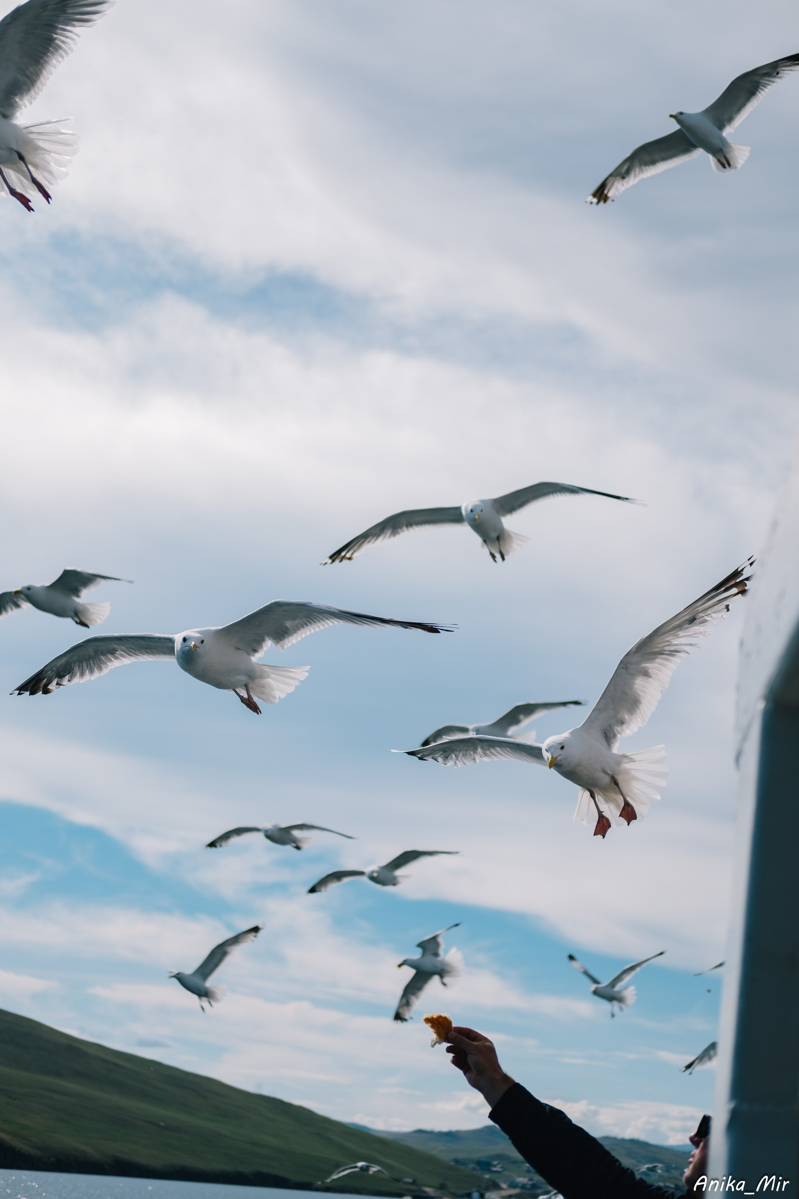 Фестиваль перфоманса Ради света. Фотограф в Иркутске Анна Мирошникова